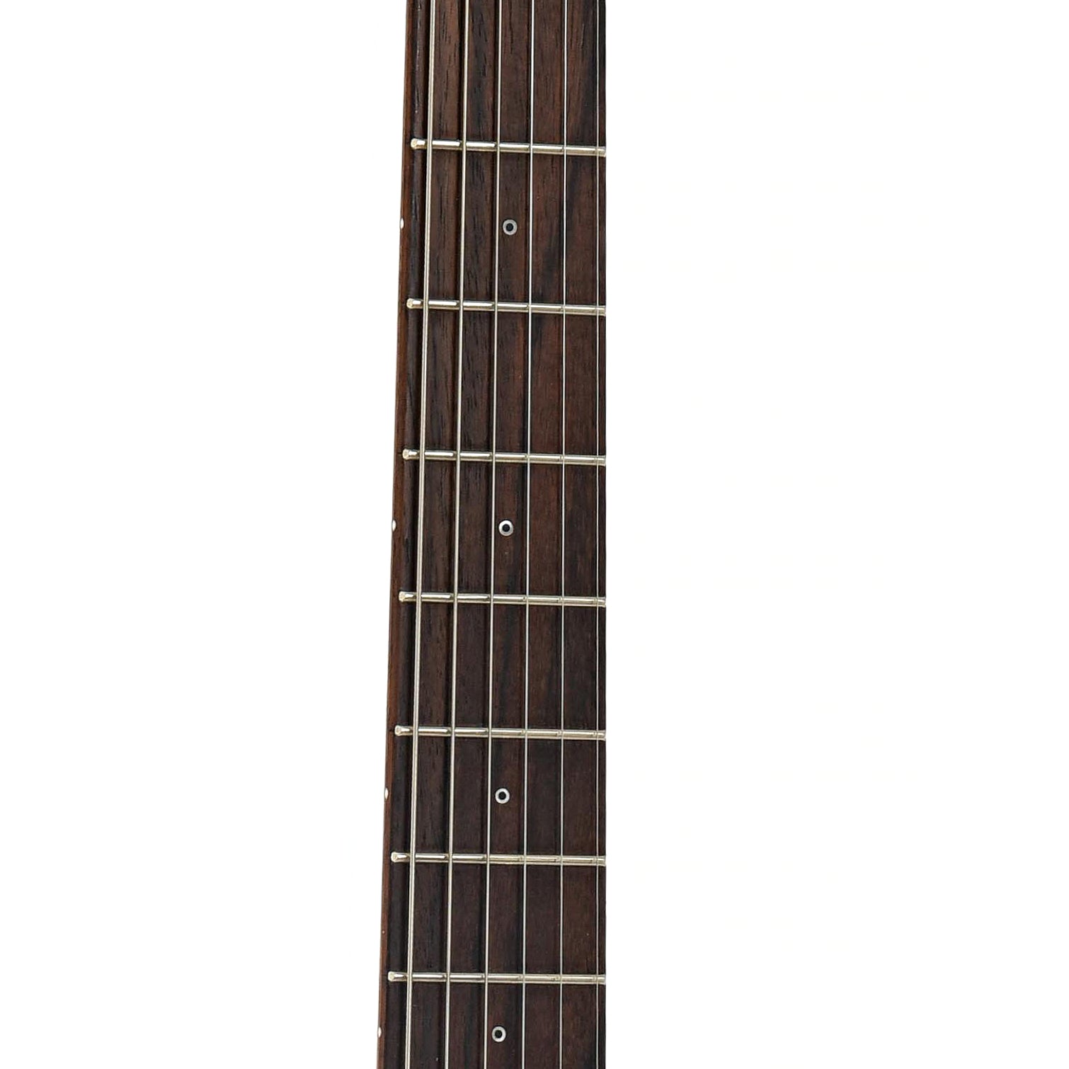 Fretboard of Friedman Vintage T Electric Guitar