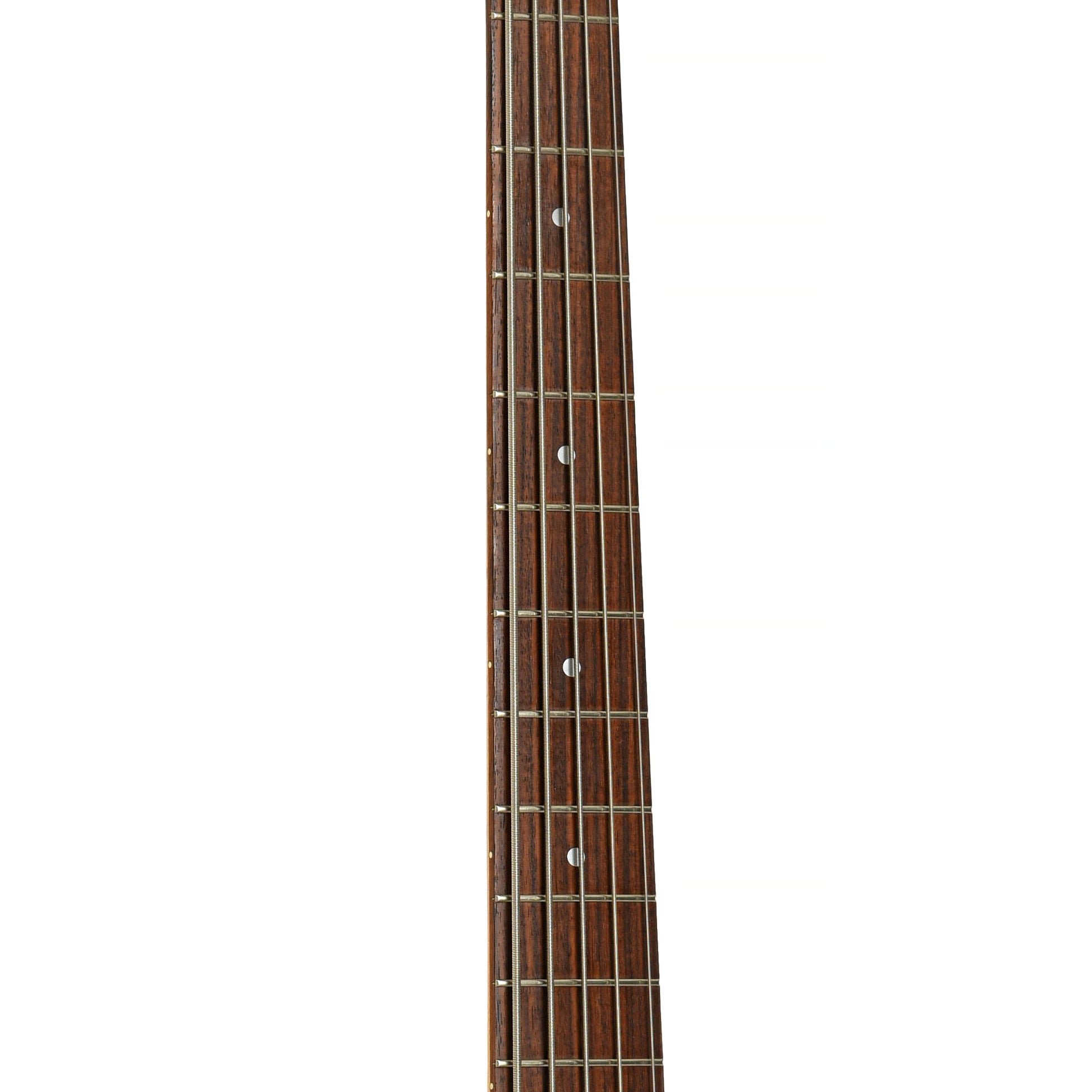 Fretboard of Godin Freeway 5