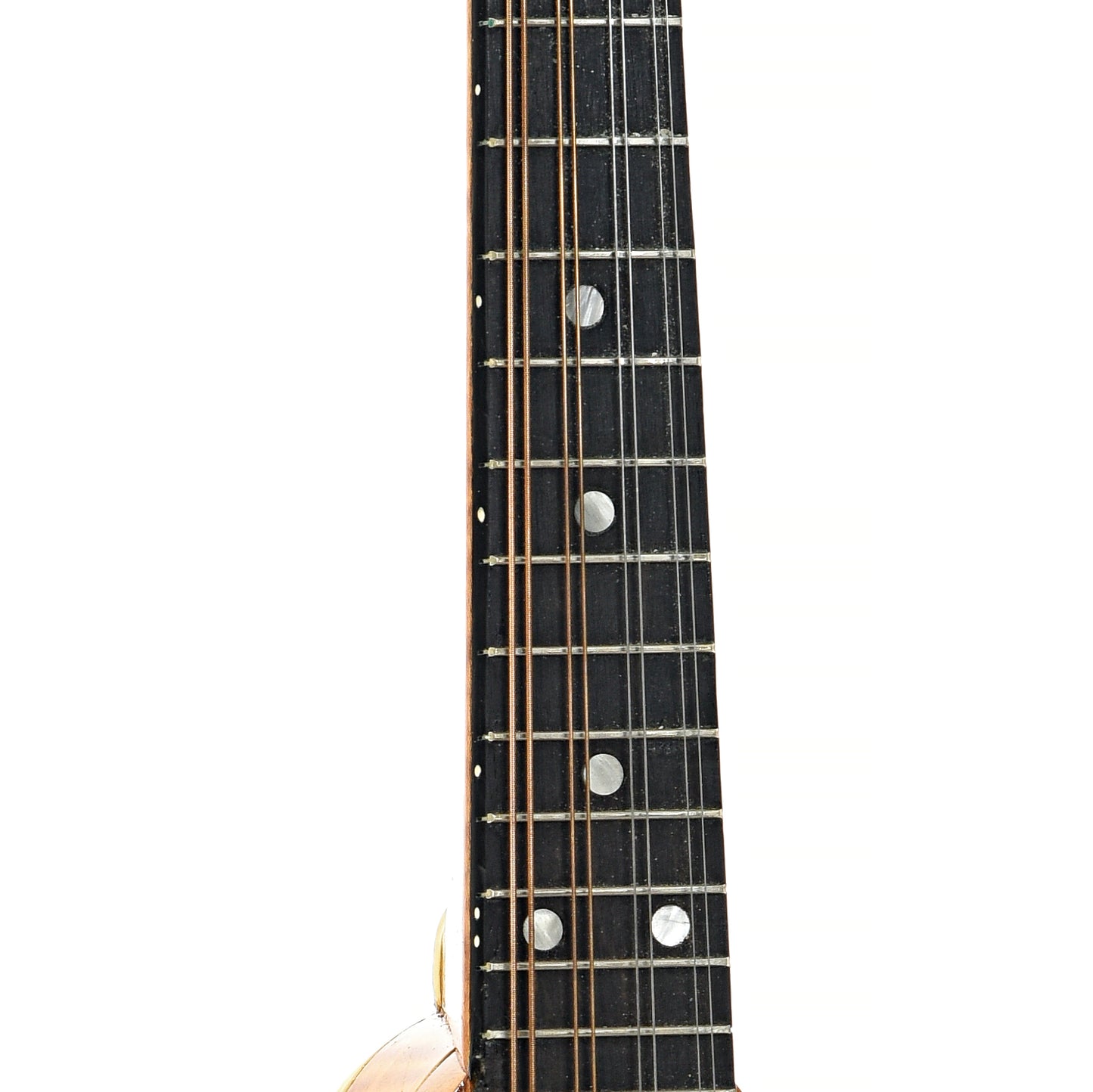 Fretboard of Jordan Buck A-Style Mandolin (2013)