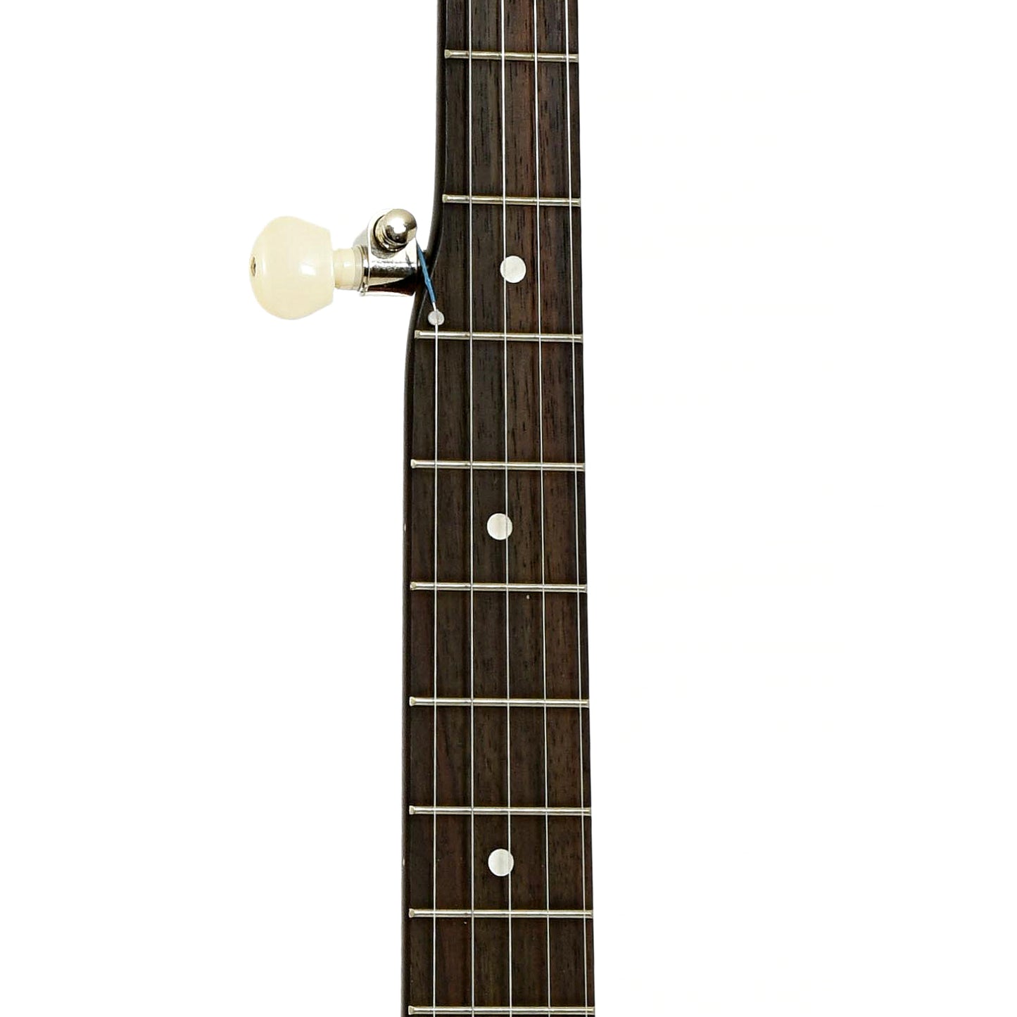 Fretboard of Recording King RKOH-06 Open Back Banjo