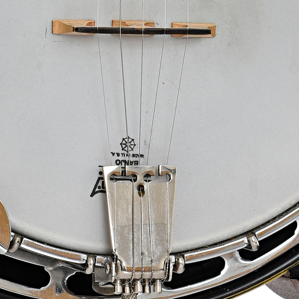 Bridge and Tailpiece of Aria Pro II PB450 5-String Resonator Banjo