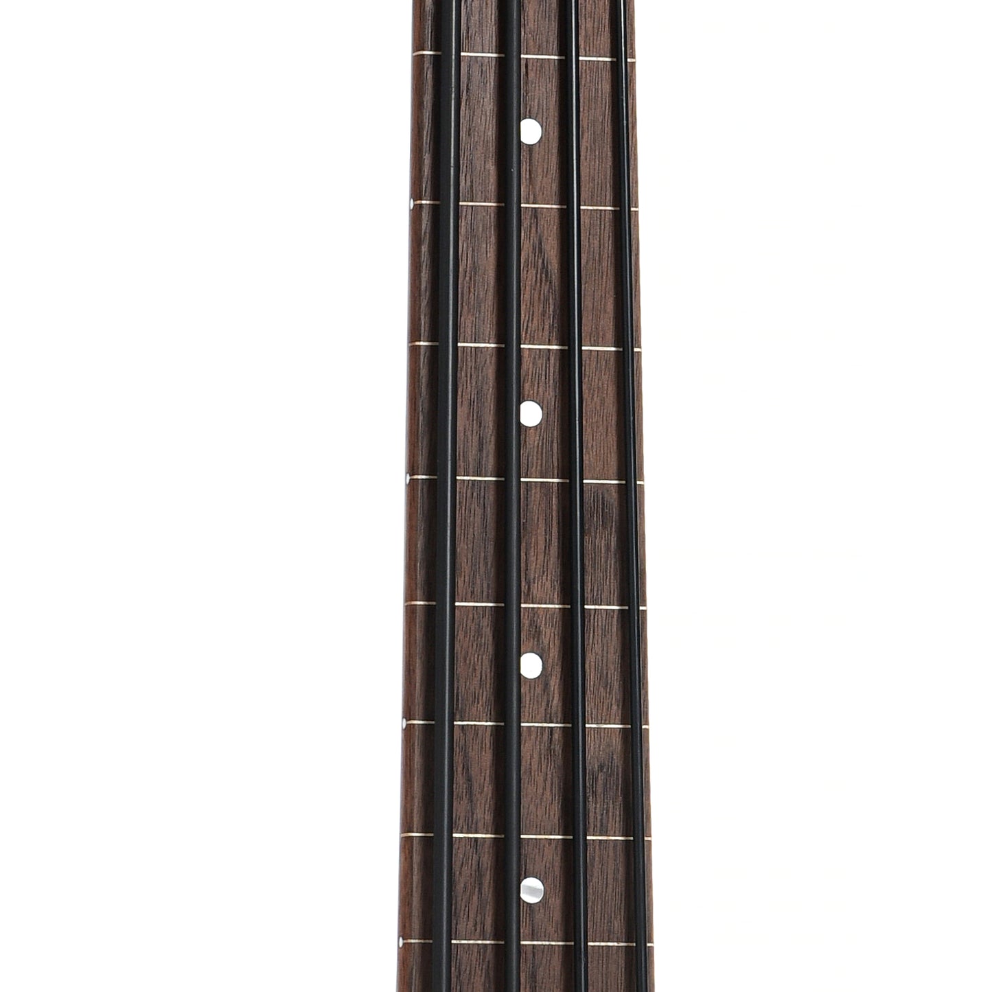 fretboard of Gold Tone Fretless M-Bass 