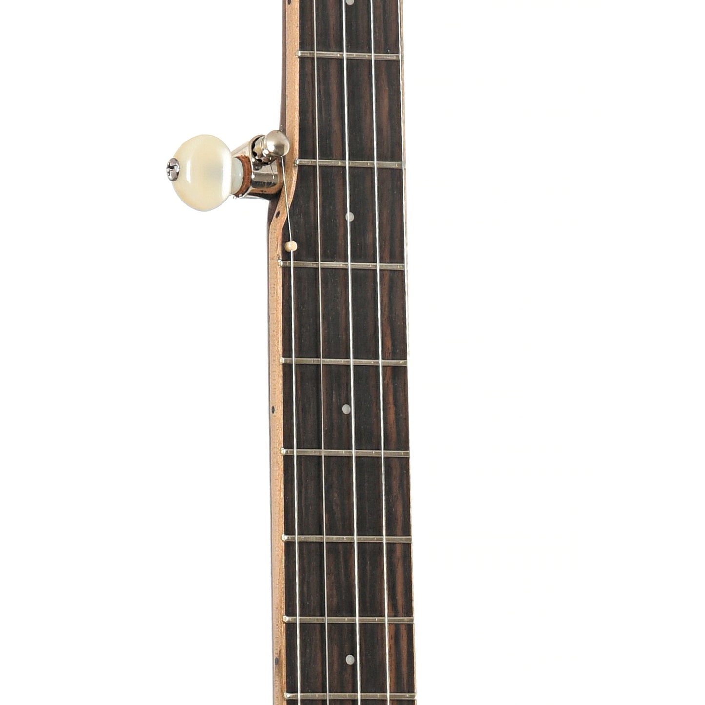 Fretboard of Gold Tone High Moon HM-100 Open Back Banjo