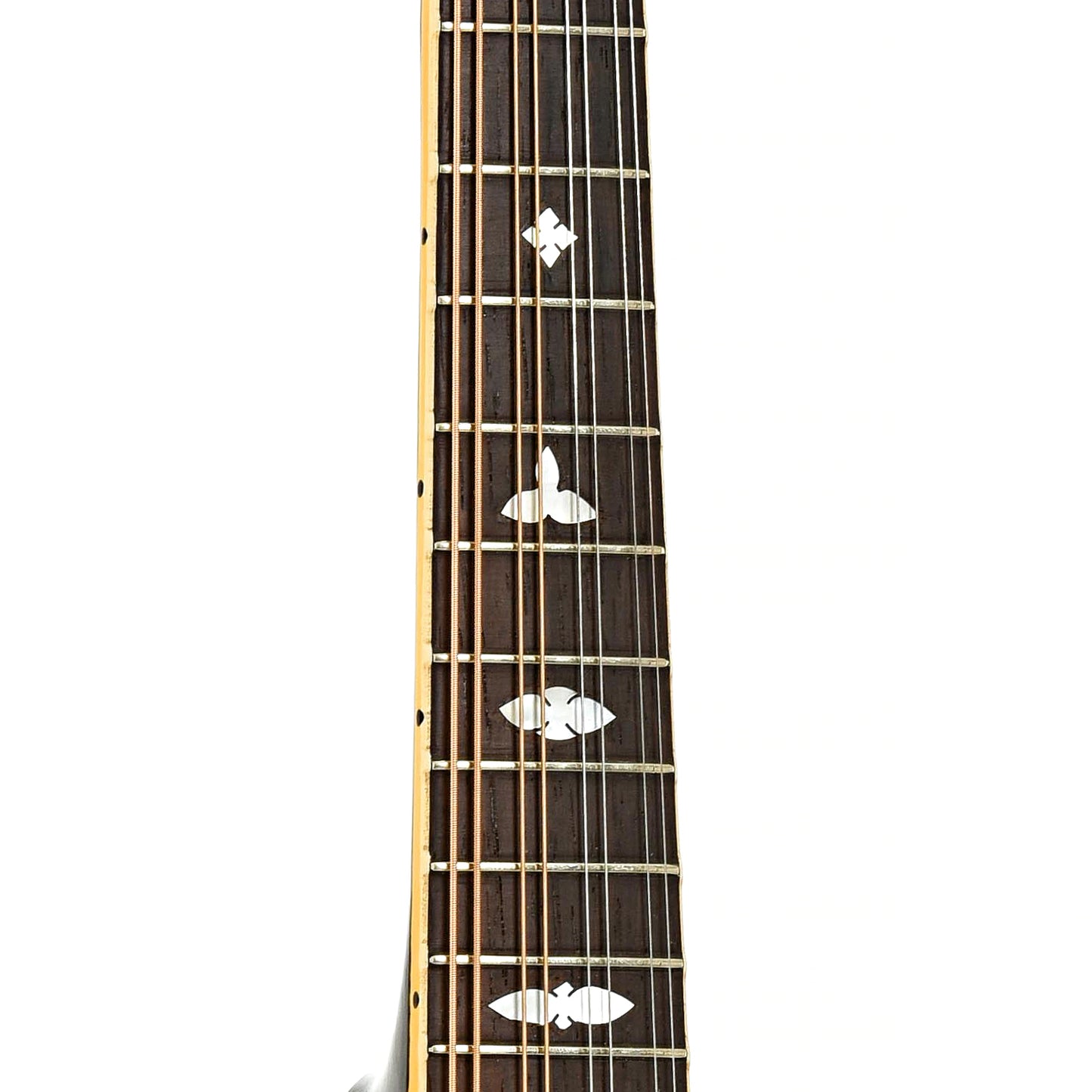 Fretboard of Gibson A-50 Mandolin