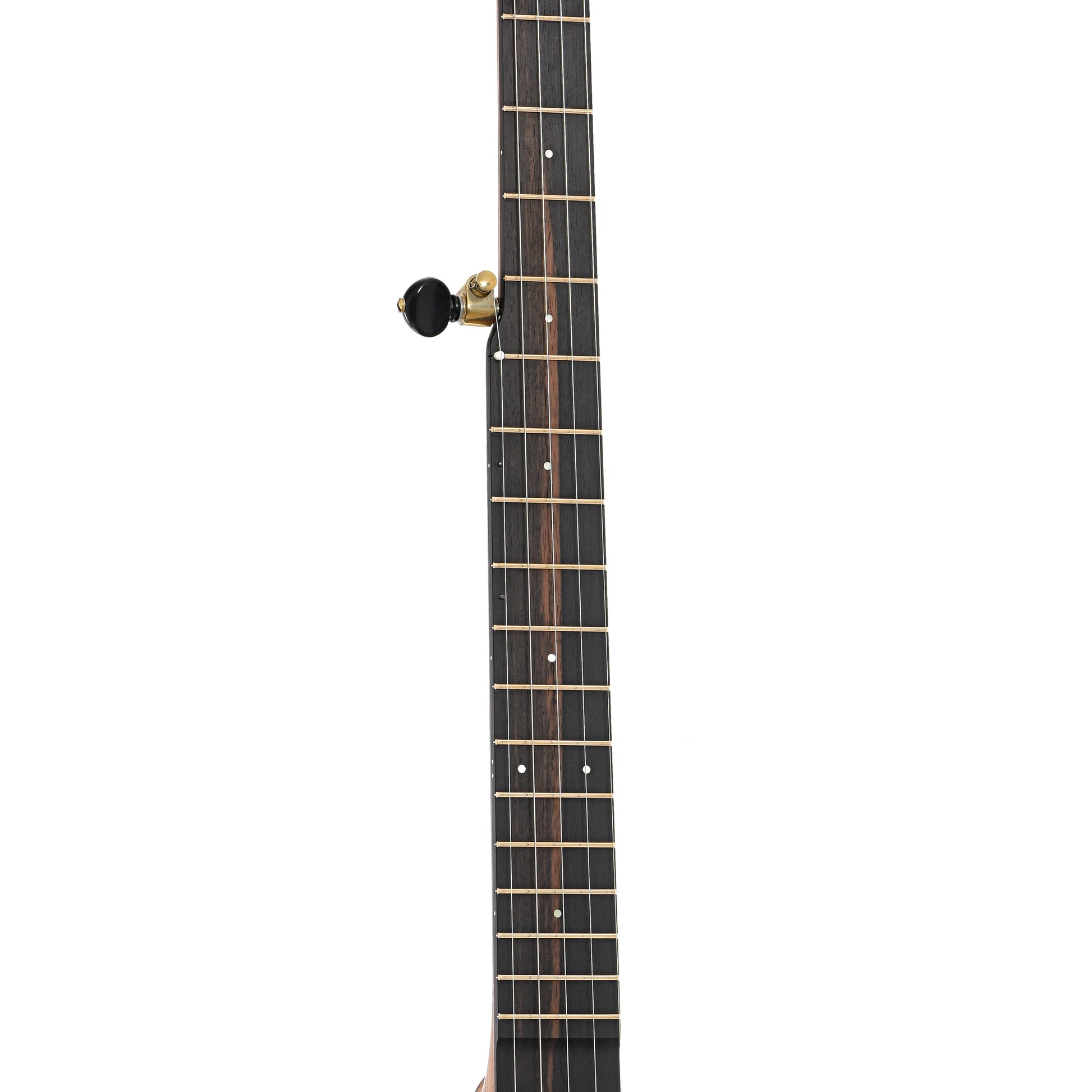 Fretboard of Ode Magician 11" Openback Banjo