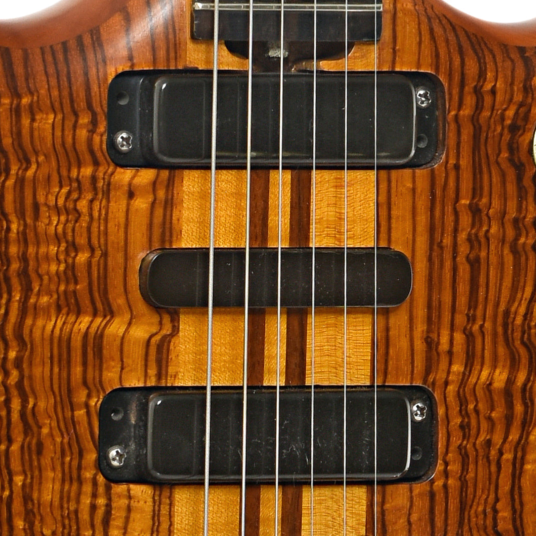 Pickups of Alembic Model 1 MSG Electric Guitar (1975)