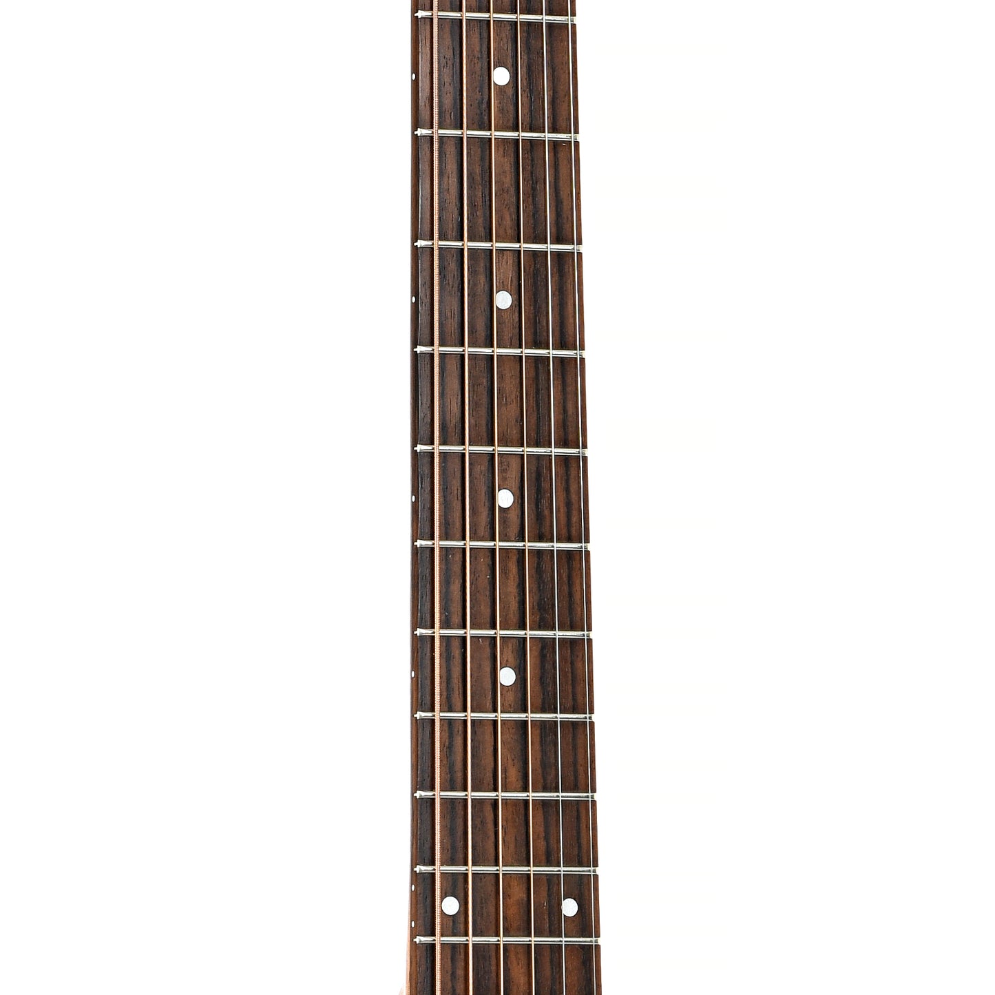 Fretboard of Seagull Maritime SWS HG Acoustic Guitar (c.2016)