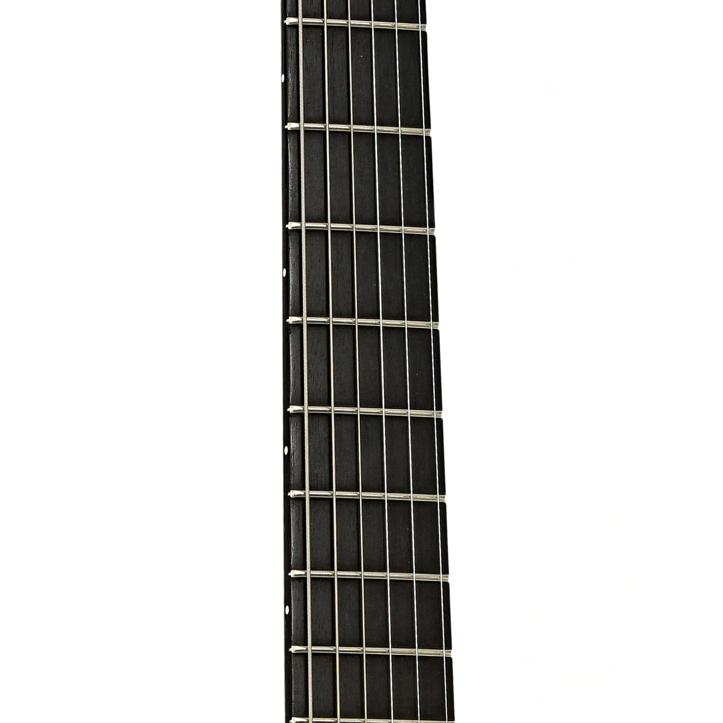 Fretboard of Gibson Les Paul Studio Gothic II Electric Guitar 