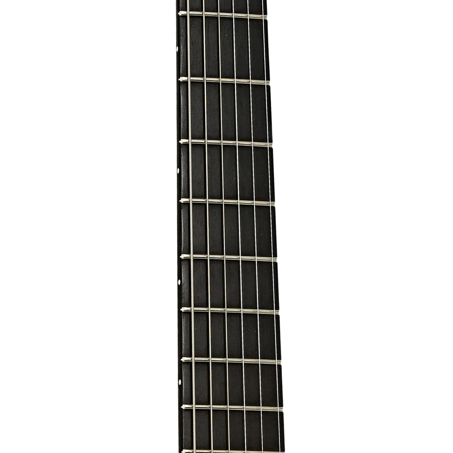 Fretboard of Gibson Les Paul Studio Gothic II Electric Guitar 