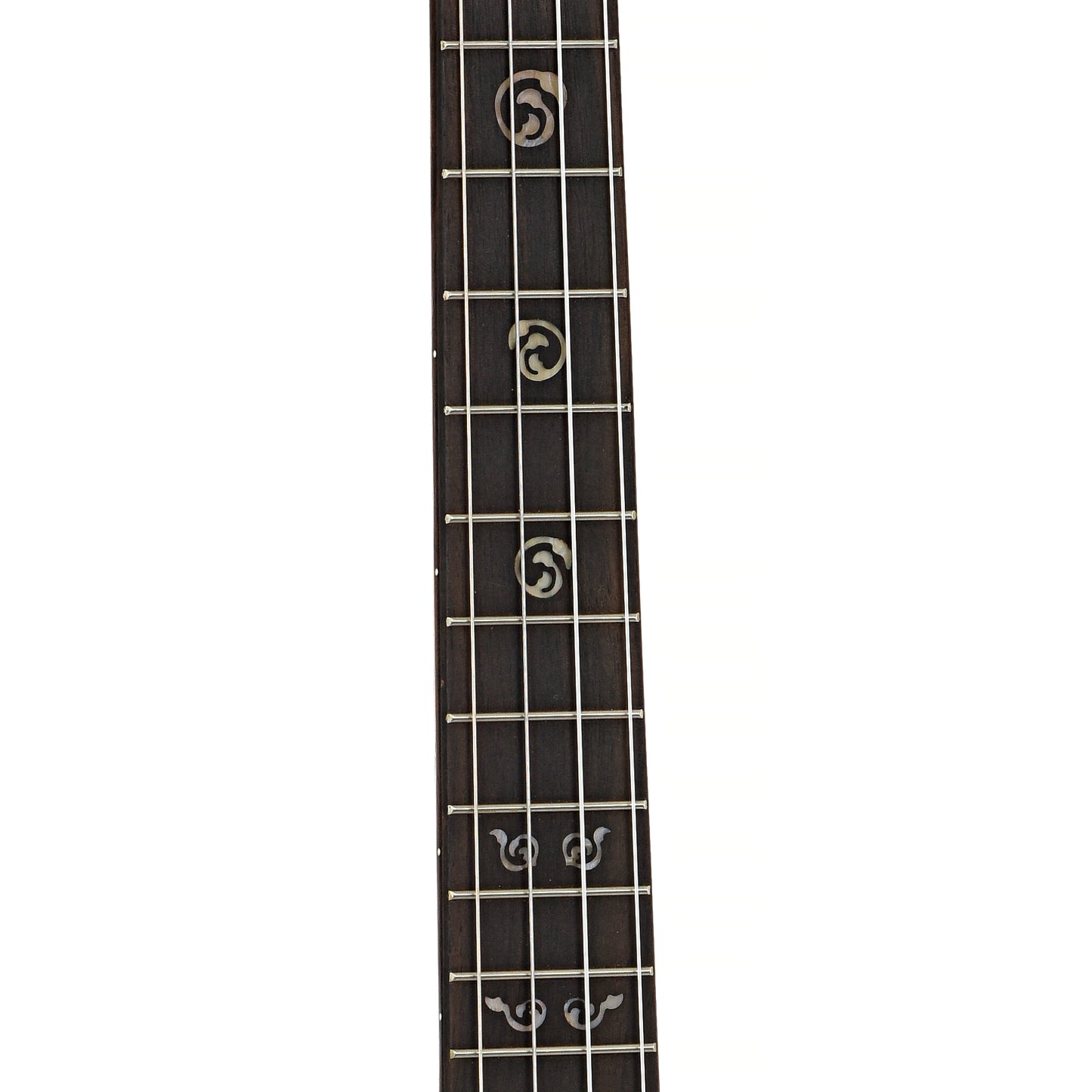 Fretboard of Kala KA-SA-B Baritone Ukulele (2021)