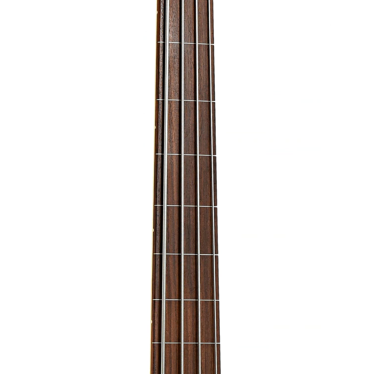 Fretless jazz bass neck sales