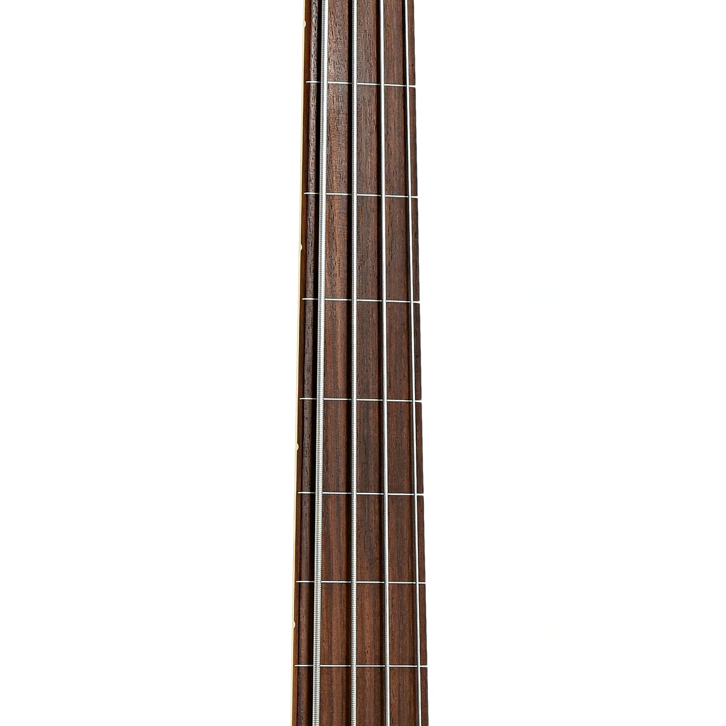 Fretboard of Fender American Professional Fretless Jazz Bass