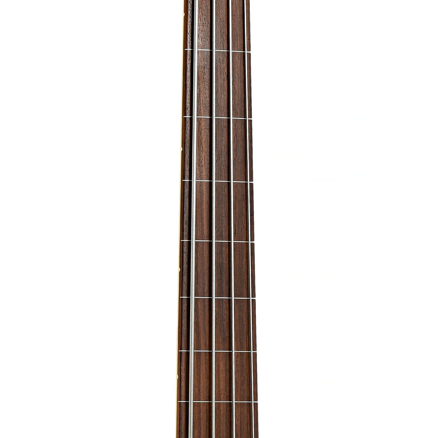 Fretboard of Fender American Professional Fretless Jazz Bass