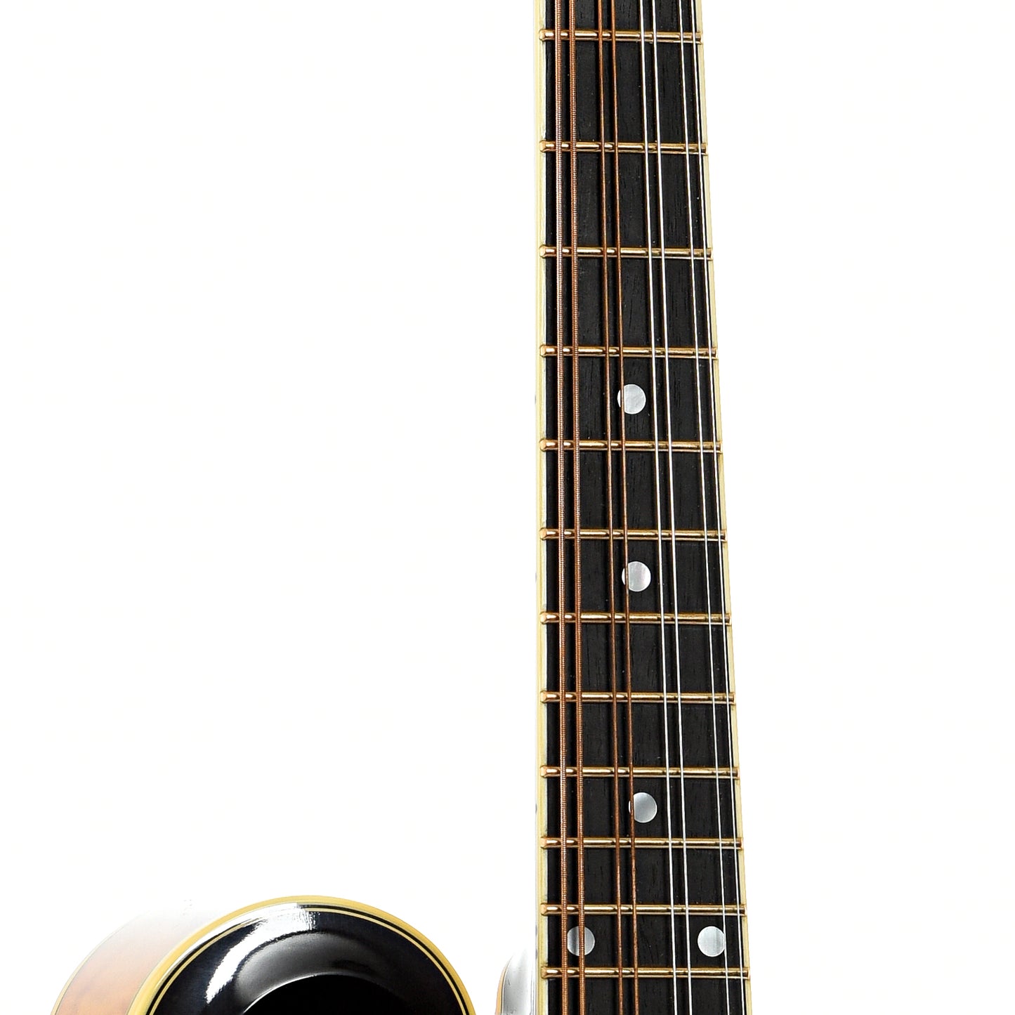 Fretboard of Ellis F-5 Reserve Mandolin (2016)