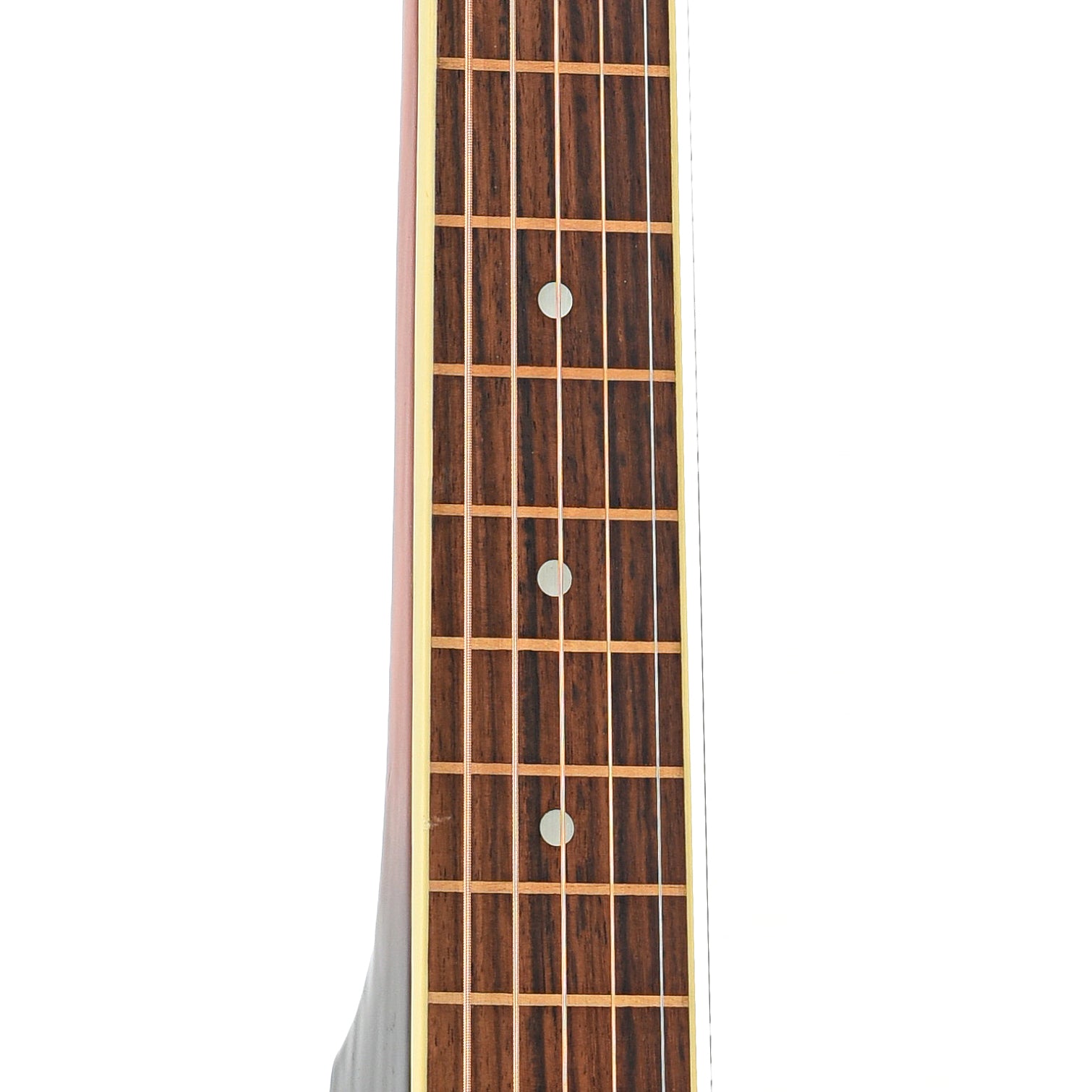 Fretboard of Wechter Scheerhorn 6524-F Squareneck Resonator