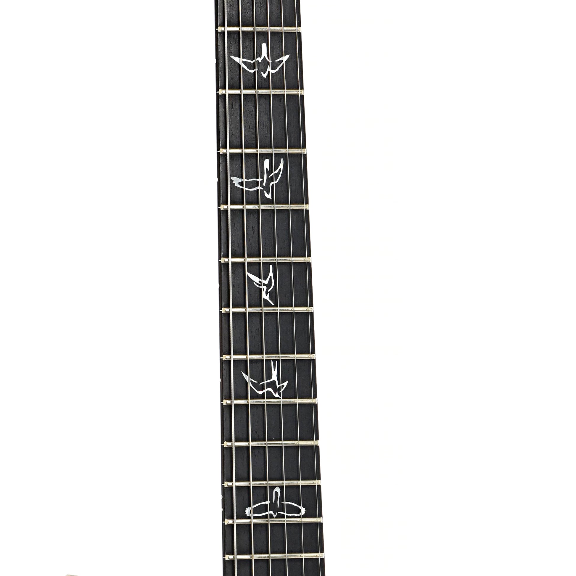 Fretboard of PRS Wood Library Modern Eagle Electric Guitar (2023)