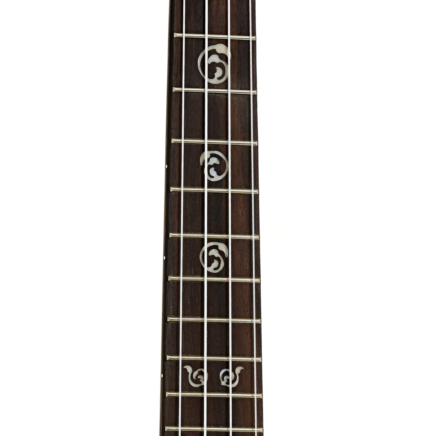 Fretboard of Kala KA-SA-T Solid Acacia Tenor Ukulele