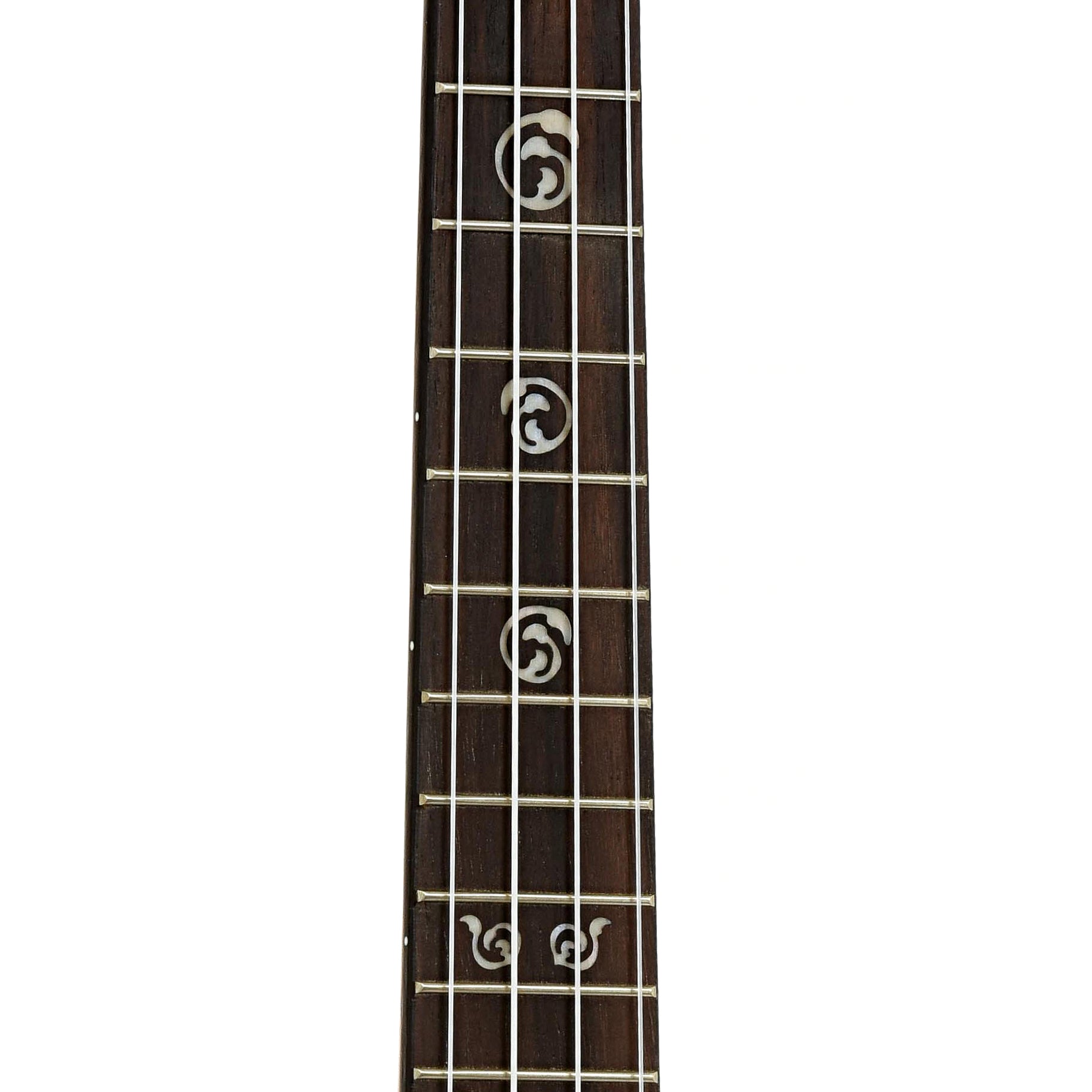 Fretboard of Kala KA-SA-T Solid Acacia Tenor Ukulele