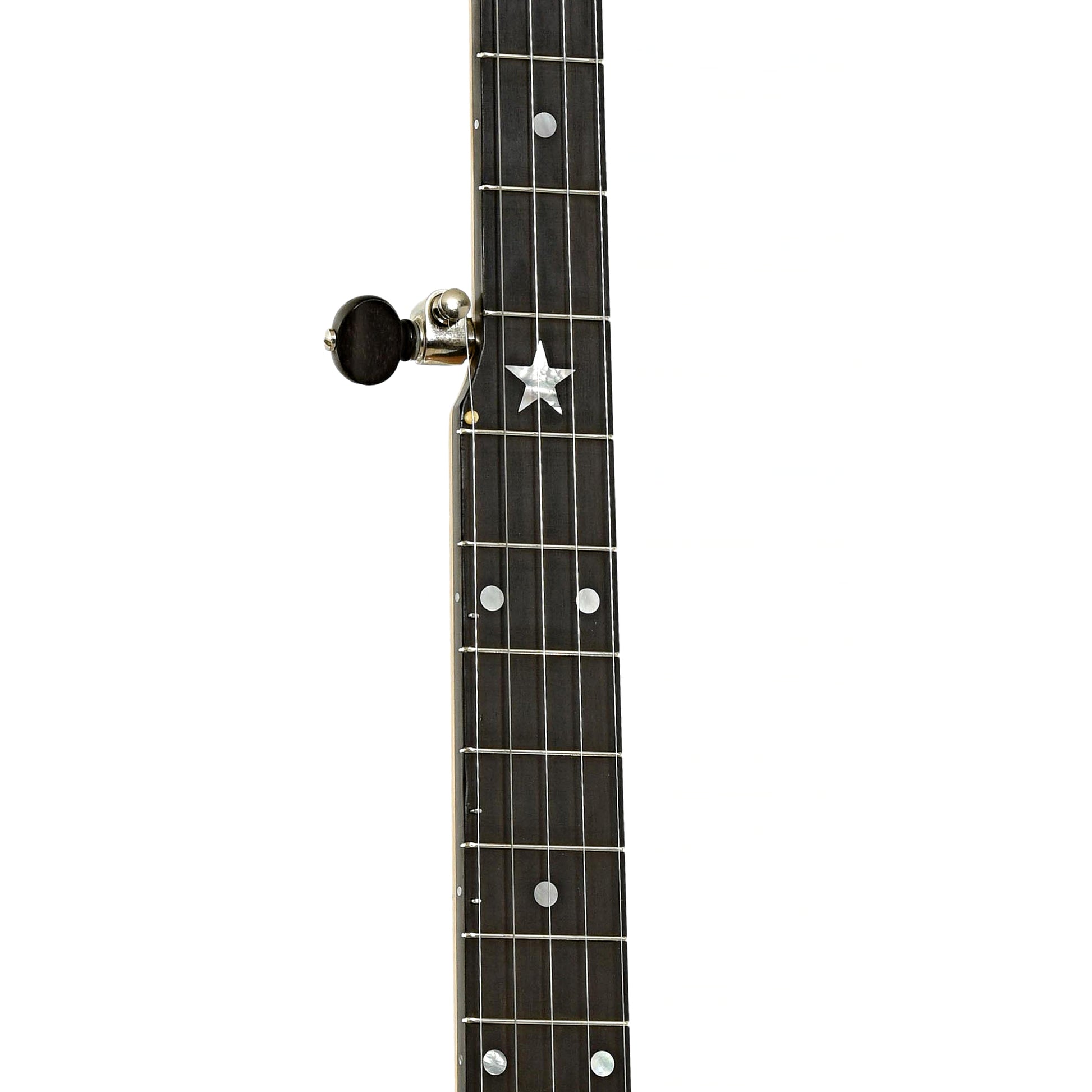 Fretboard of Bart Reiter Special Scoop Open Back Banjo 