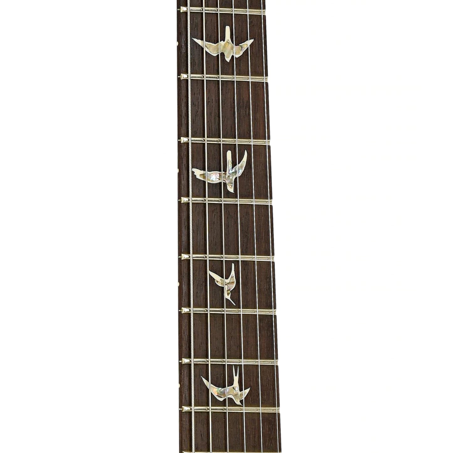 Fretboard of PRS P22 Electric Guitar 