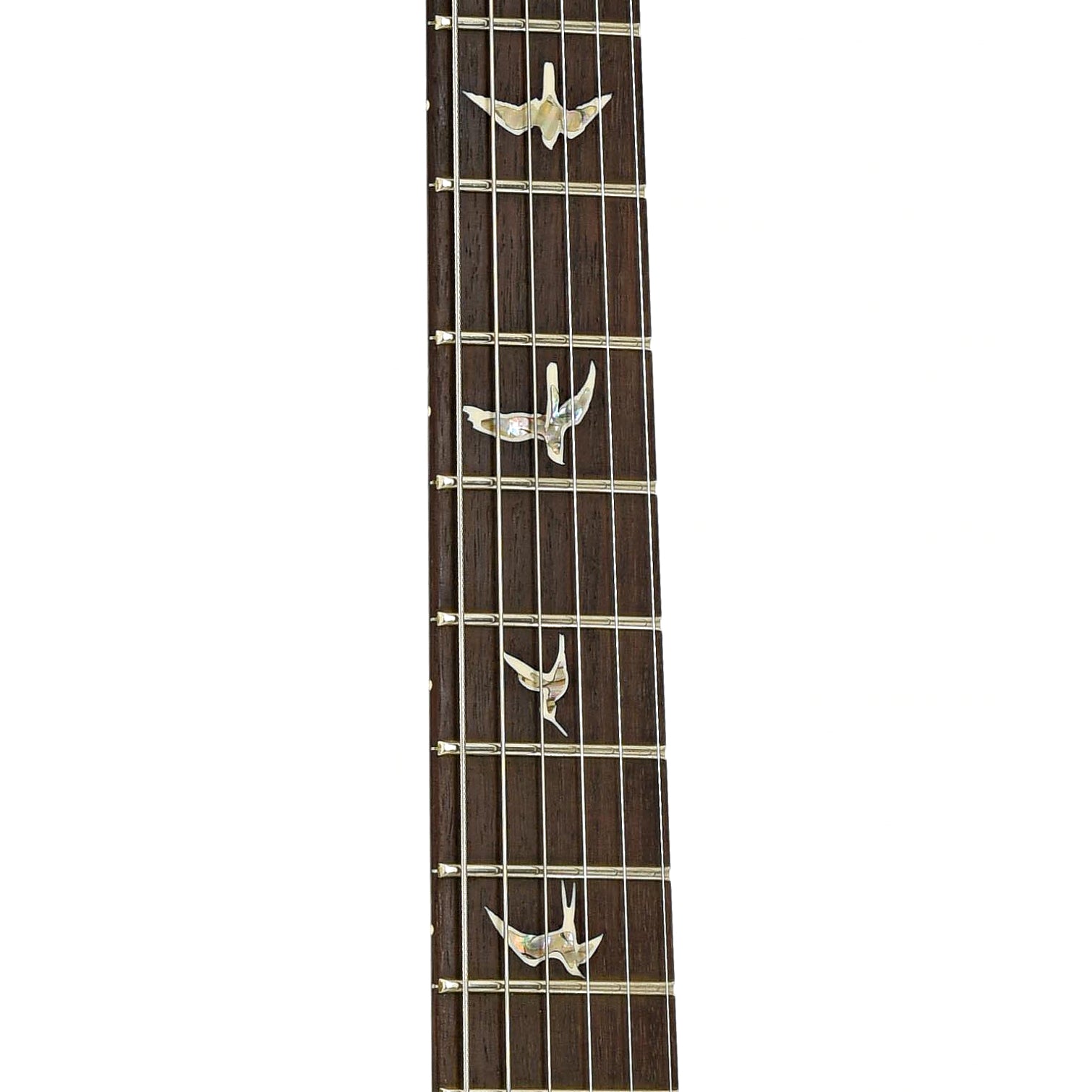 Fretboard of PRS P22 Electric Guitar 