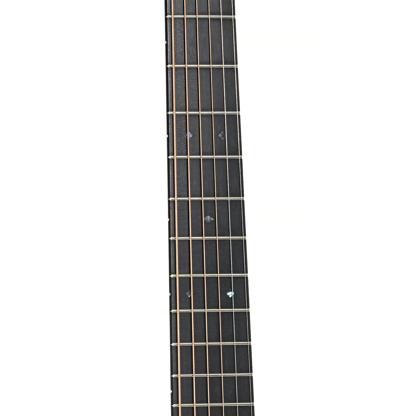 Fretboard of Collings Baby 2HG Acoustic Guitar (2008)