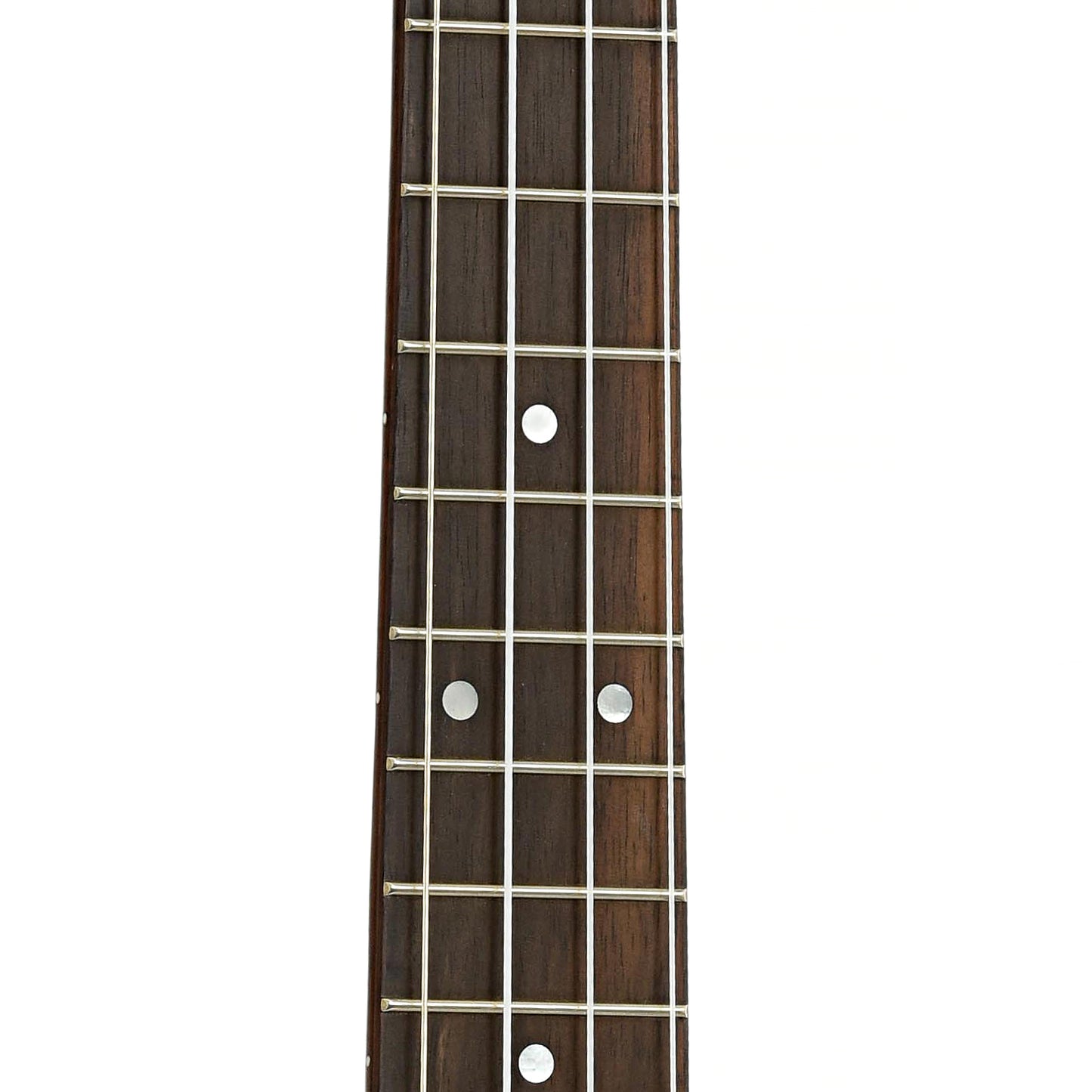 Fretboard of Cordoba 30T Tenor Ukulele 