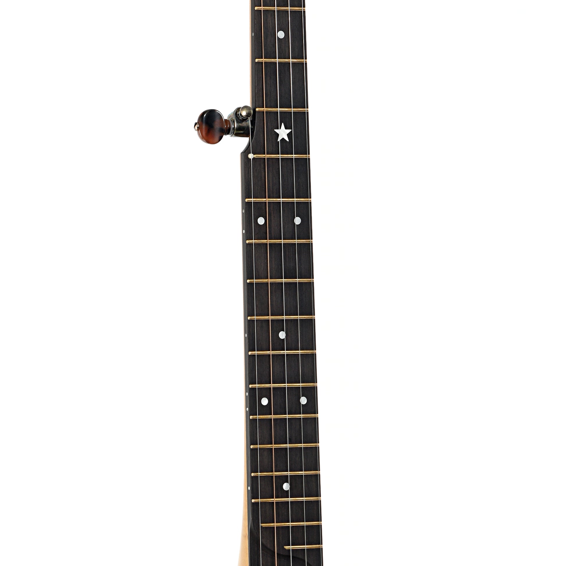 Fretboard of Rickard Custom 12" Openback Banjo