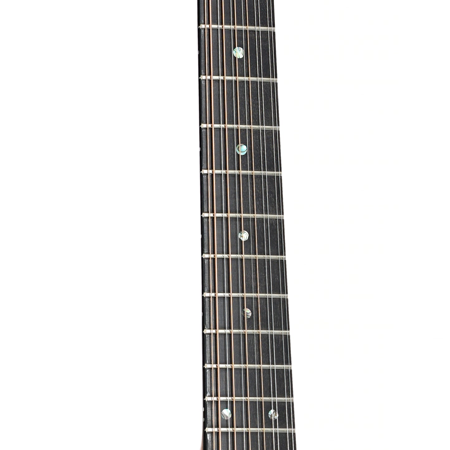 Fretboard of Goodman 12-String Dreadnought Acoustic Guitar