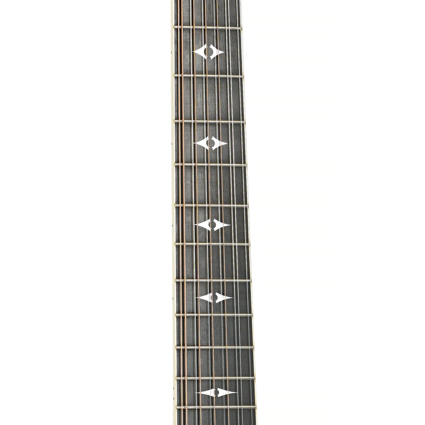 Fretboard of Taylor 855 12-String Acoustic Guitar (2003)]