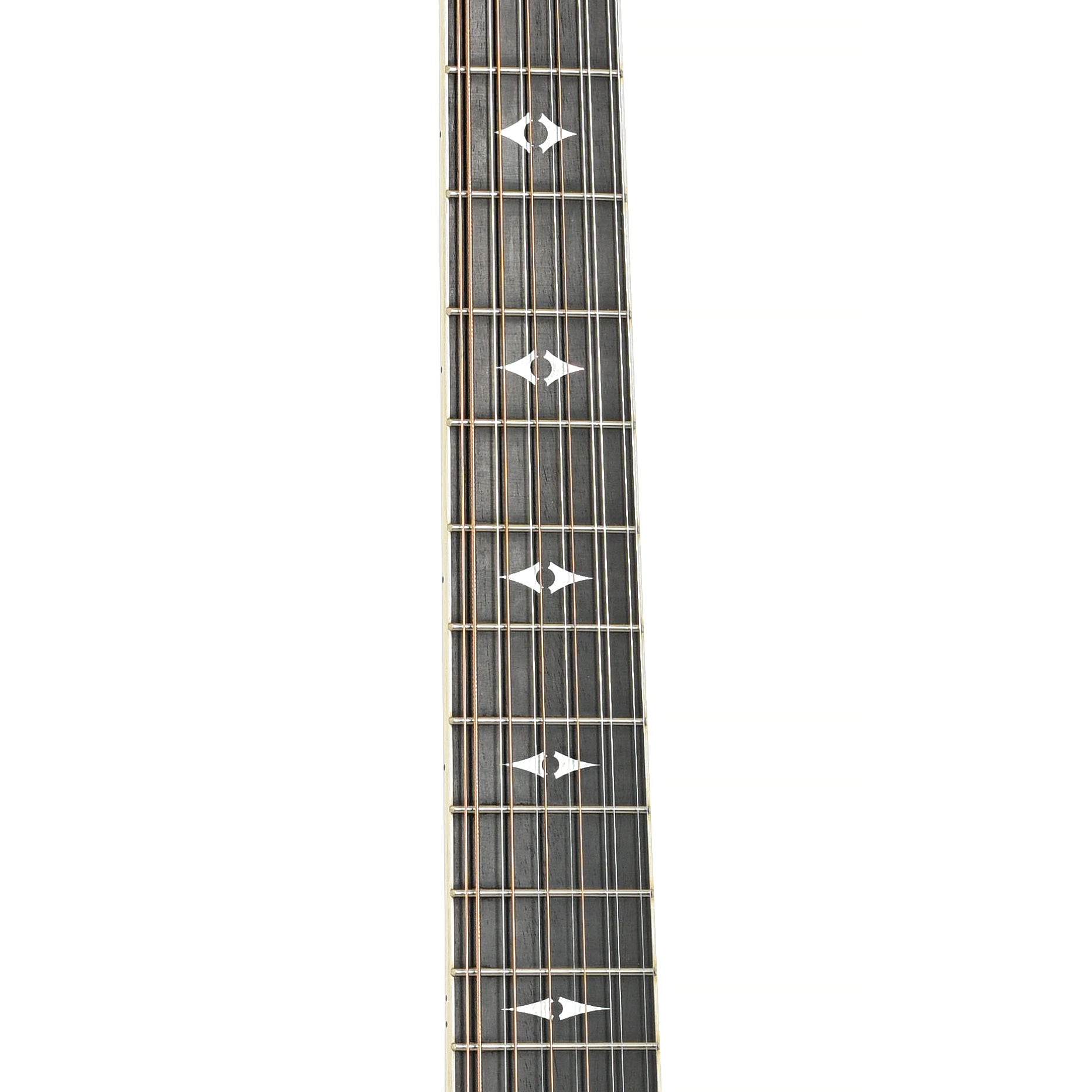 Fretboard of Taylor 855 12-String Acoustic Guitar (2003)]