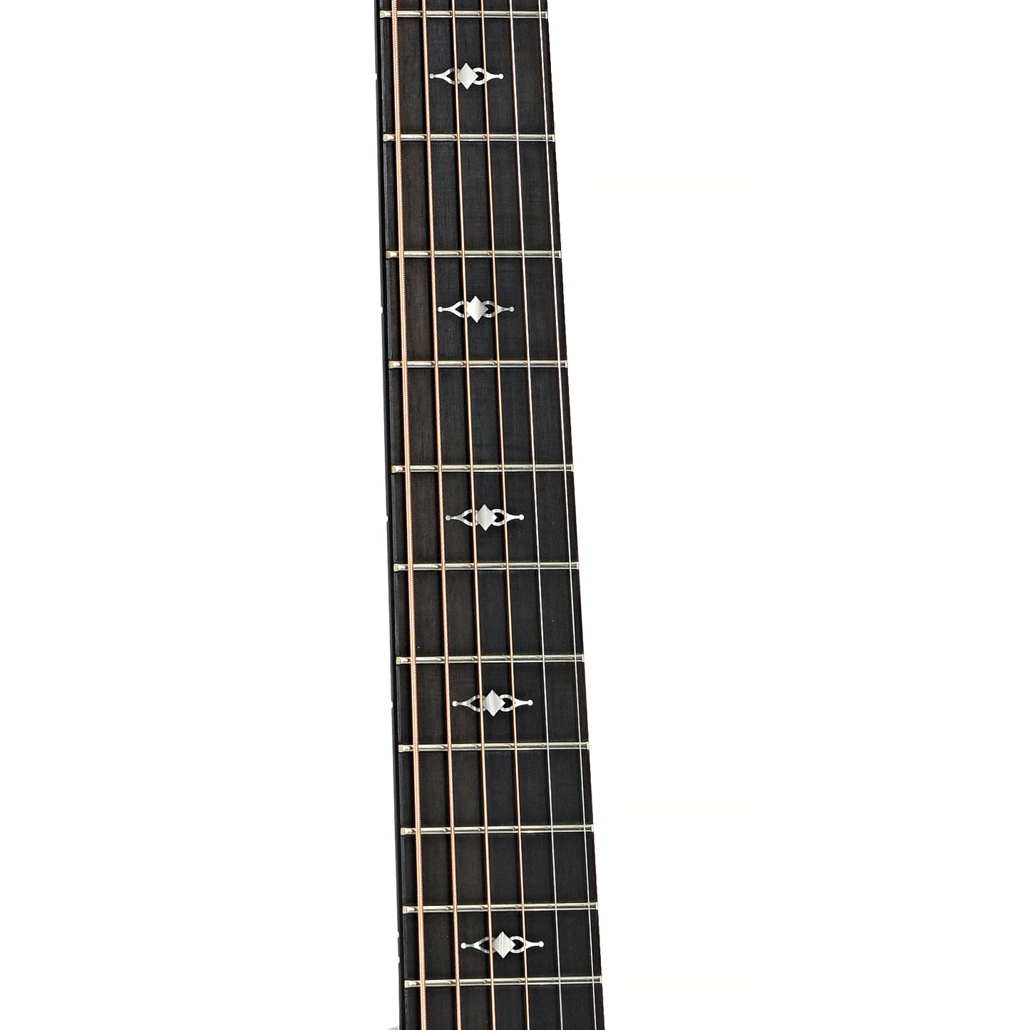 fretboard of Taylor 312ce Acoustic-Electric Guitar (2019)