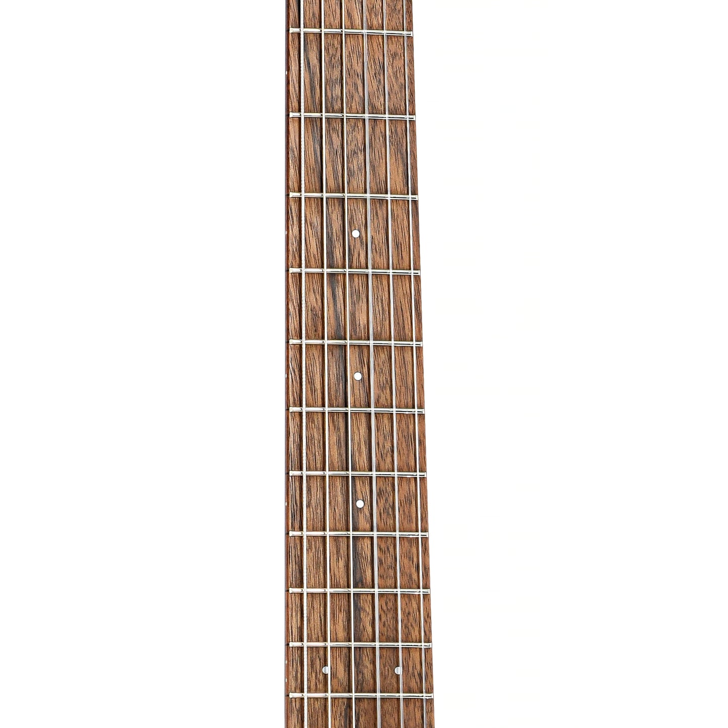 Fretboard of Breedlove Discovery Concert S Nylon CE (2024)