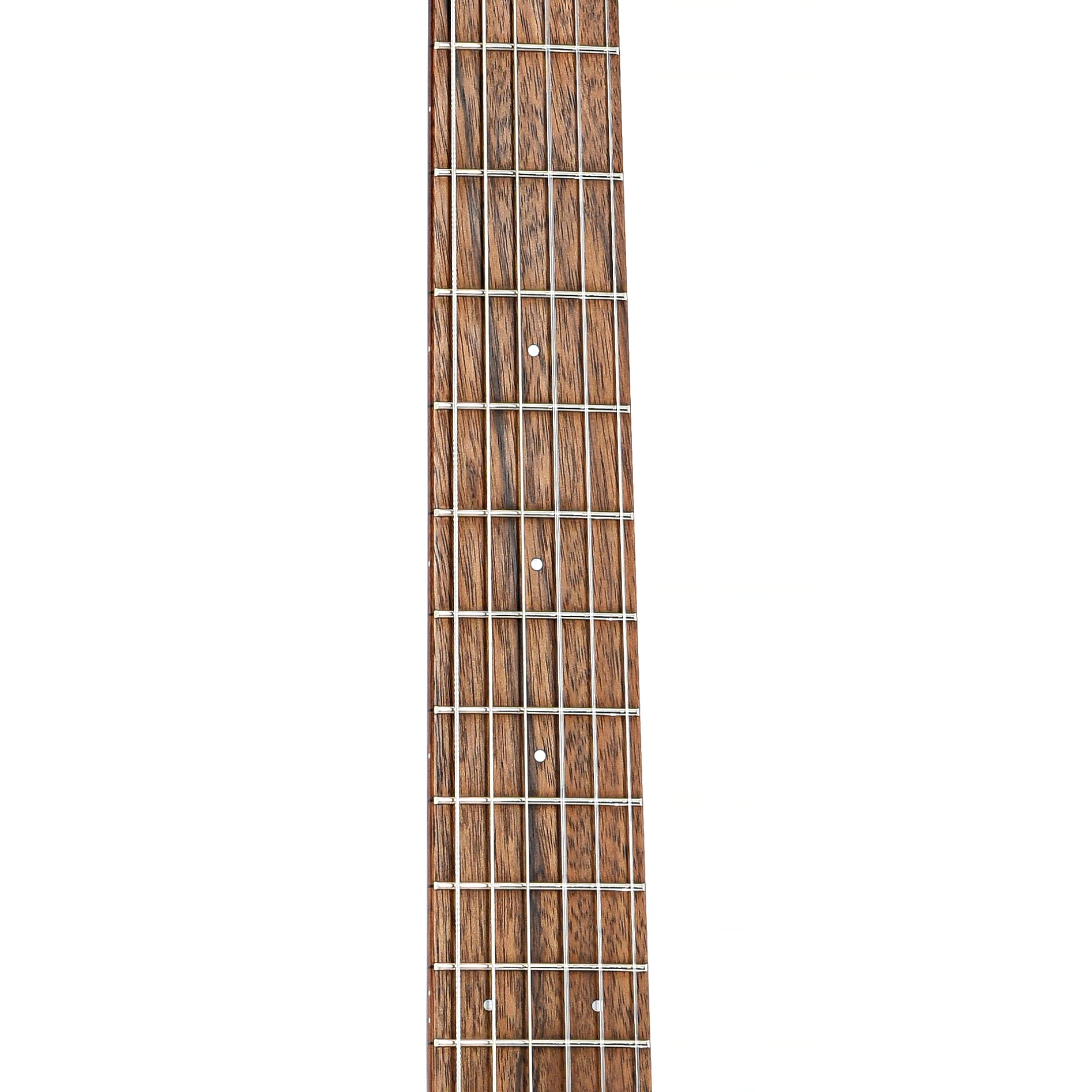 Fretboard of Breedlove Discovery Concert S Nylon CE (2024)