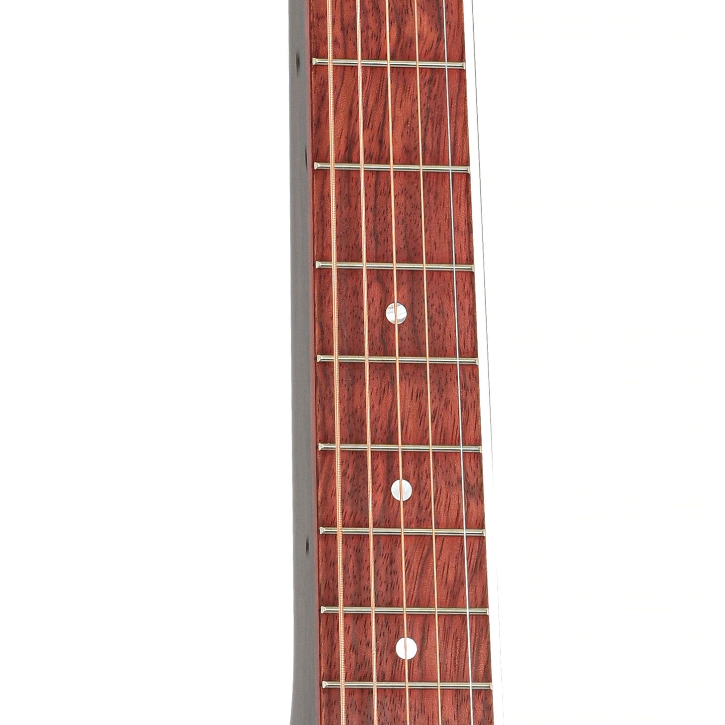 fretboard of Beard Jerry Douglas Blackbeard 