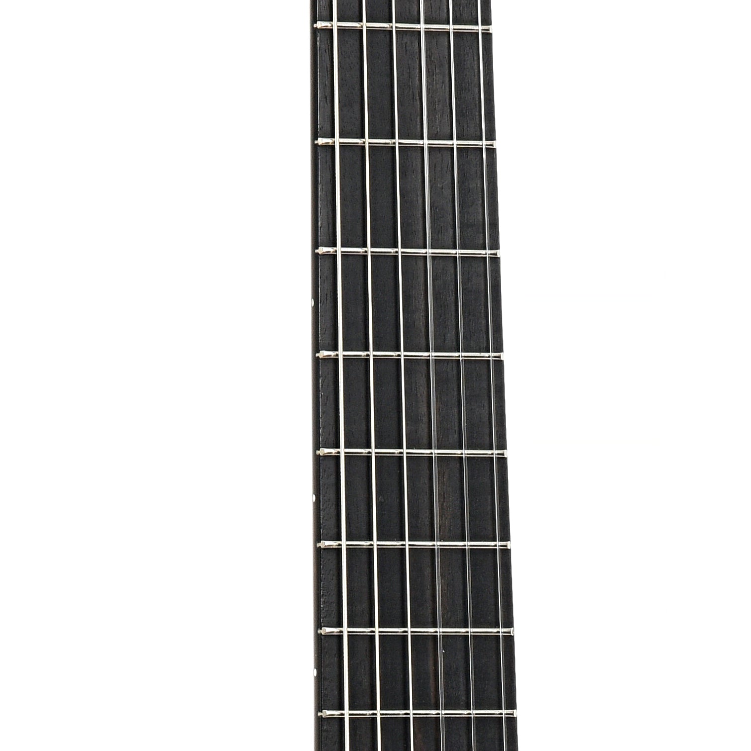 Fretboard of Cordoba C-10 Parlor Nylon String Guitar