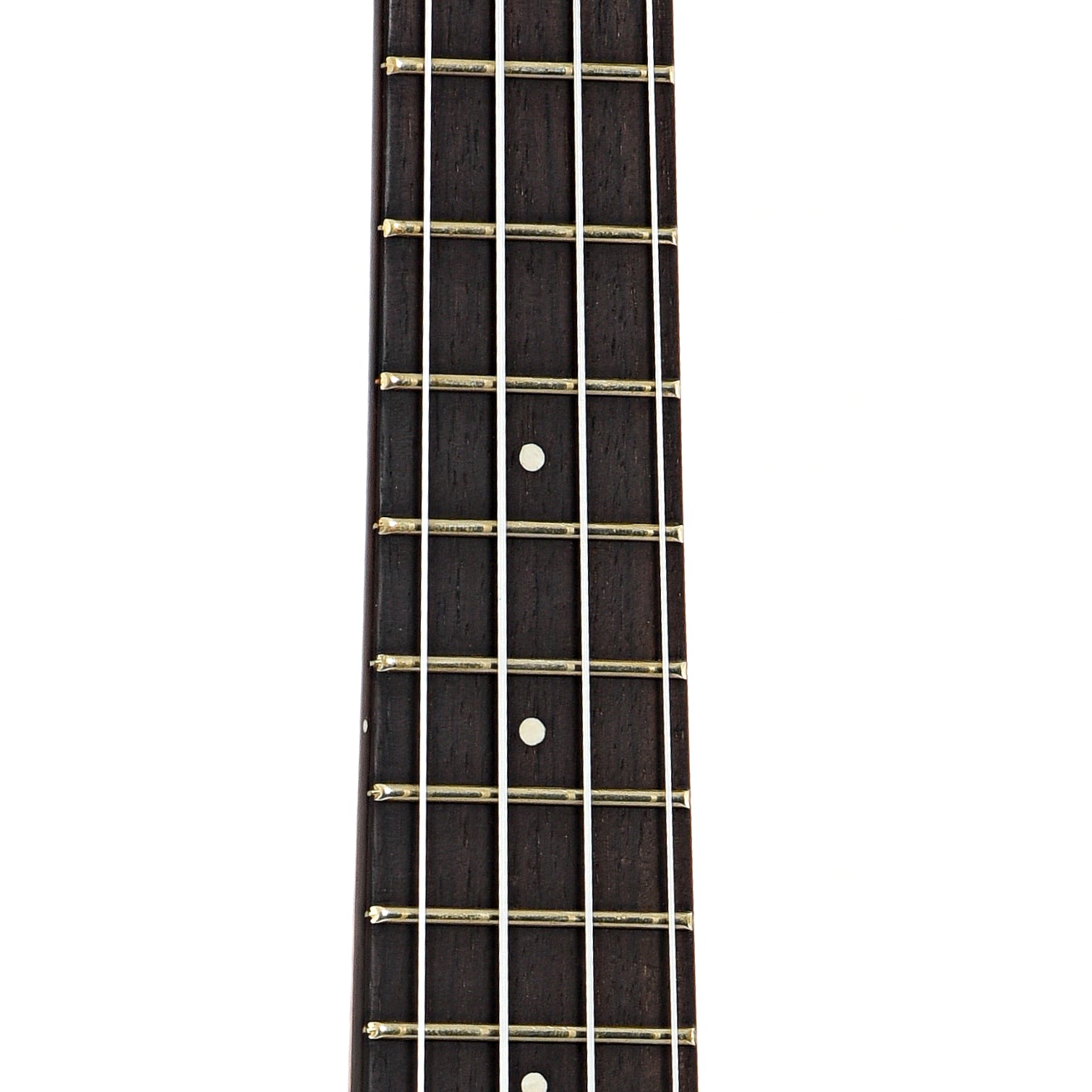 Fretboard of Kremona Coco Concert Ukulele 
