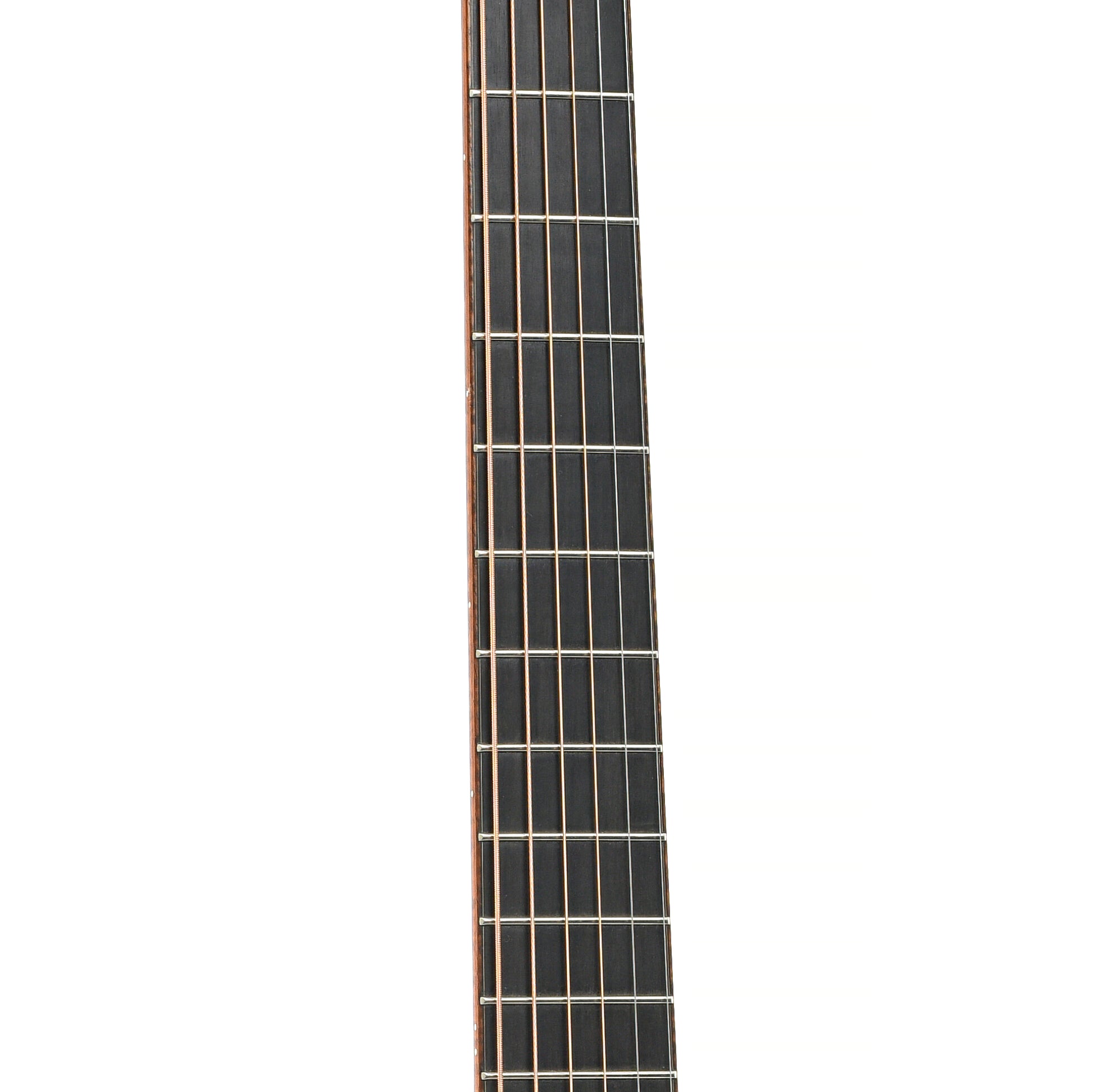 Fretboard of Taylor Cocobolo GA Acoustic-Electric Guitar (2008)