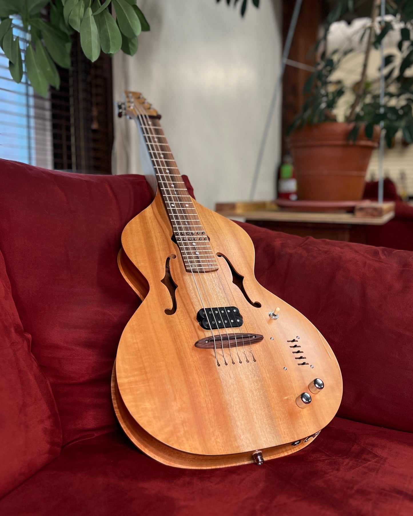 Showroom photo of Front of Cole Clark VL2P Violap Hawaiian Guitar (2010)