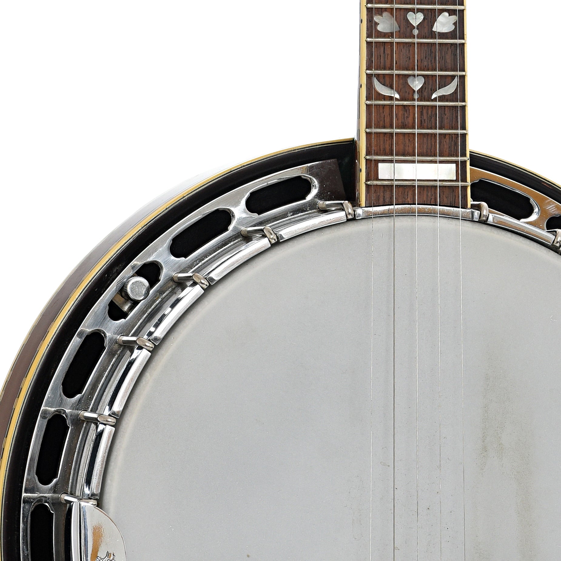 Aria Pro II PB450 5-String Resonator Banjo (late 70s) – Elderly Instruments