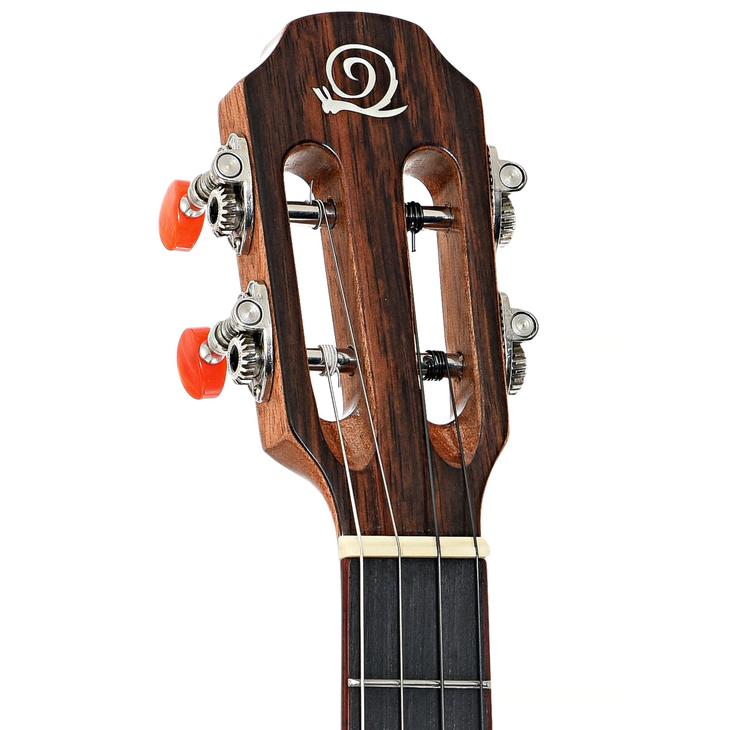 Front headstock of Snail S60B Baritone Ukulele (c.2023)