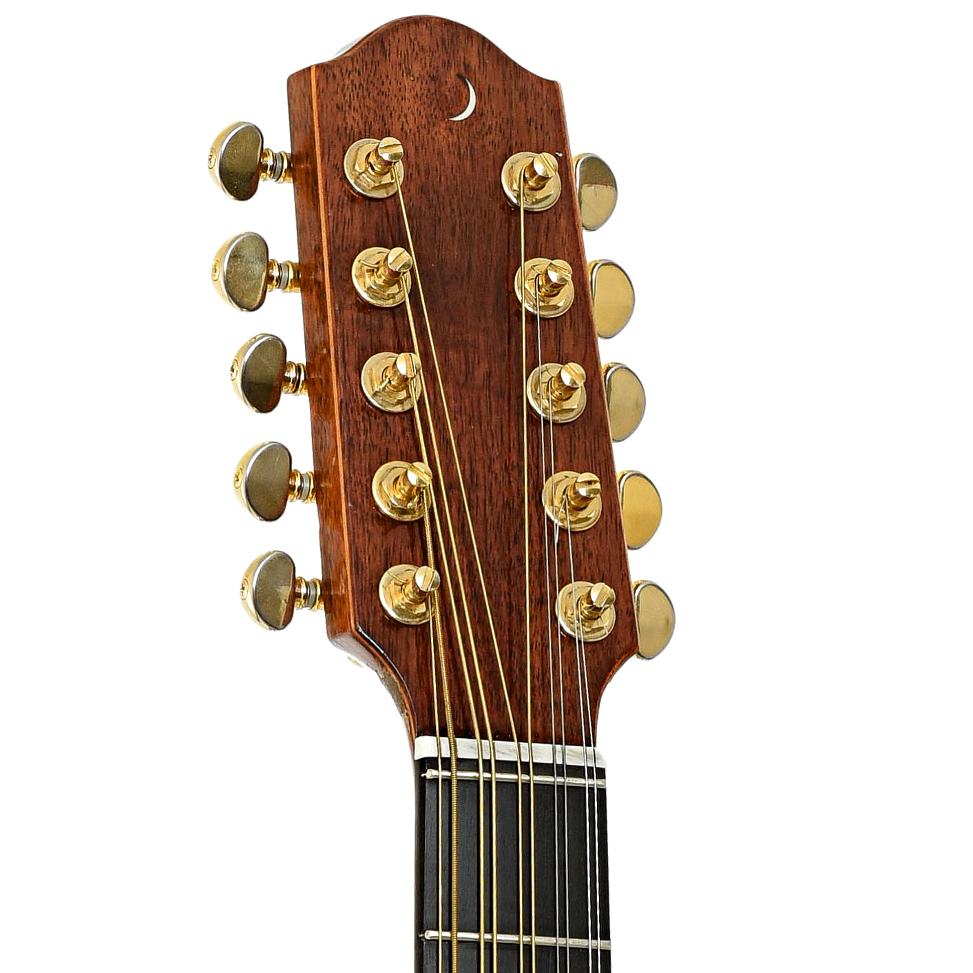 Headstock of Apollo Long Scale Cittern