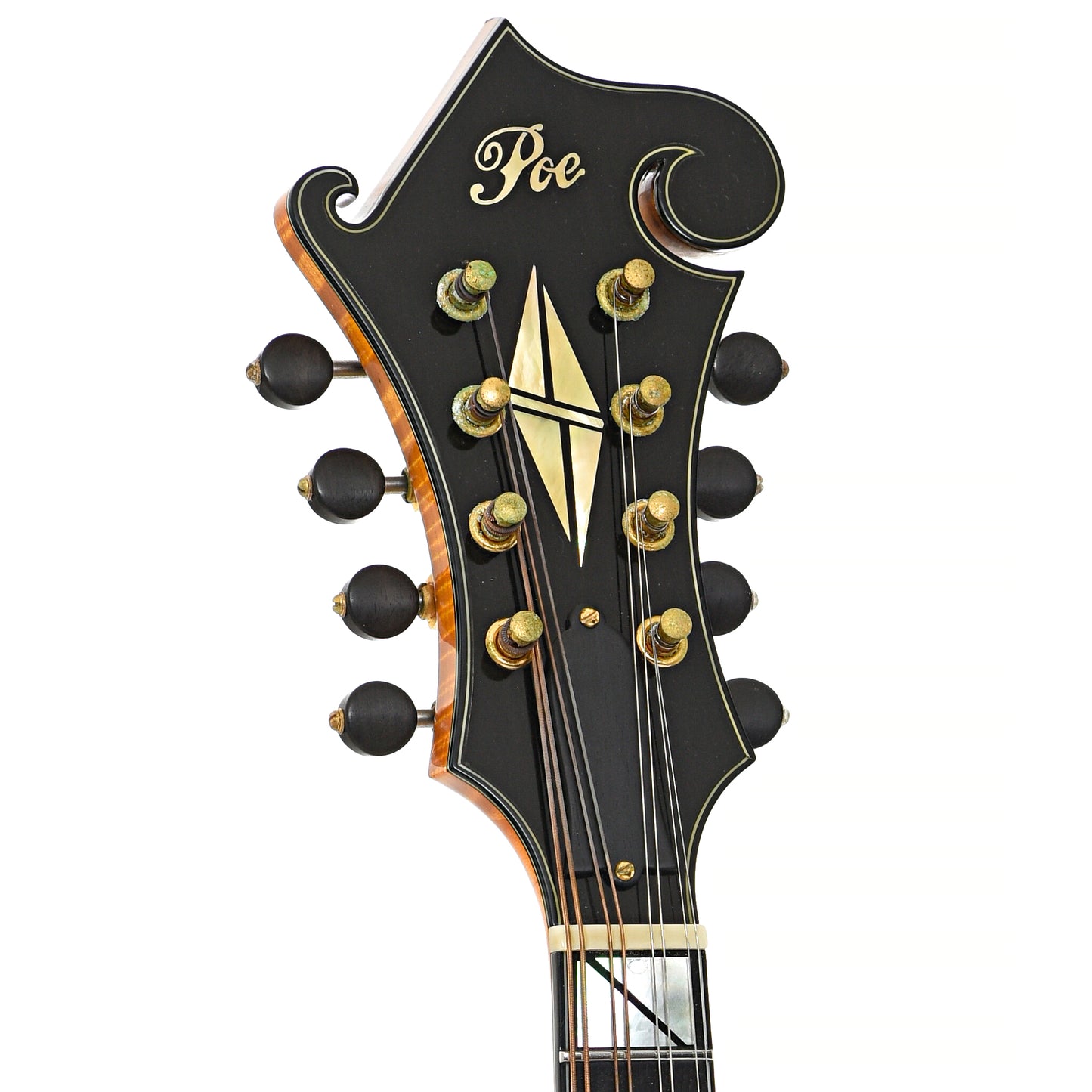 Front headstock of Poe Elite F-5