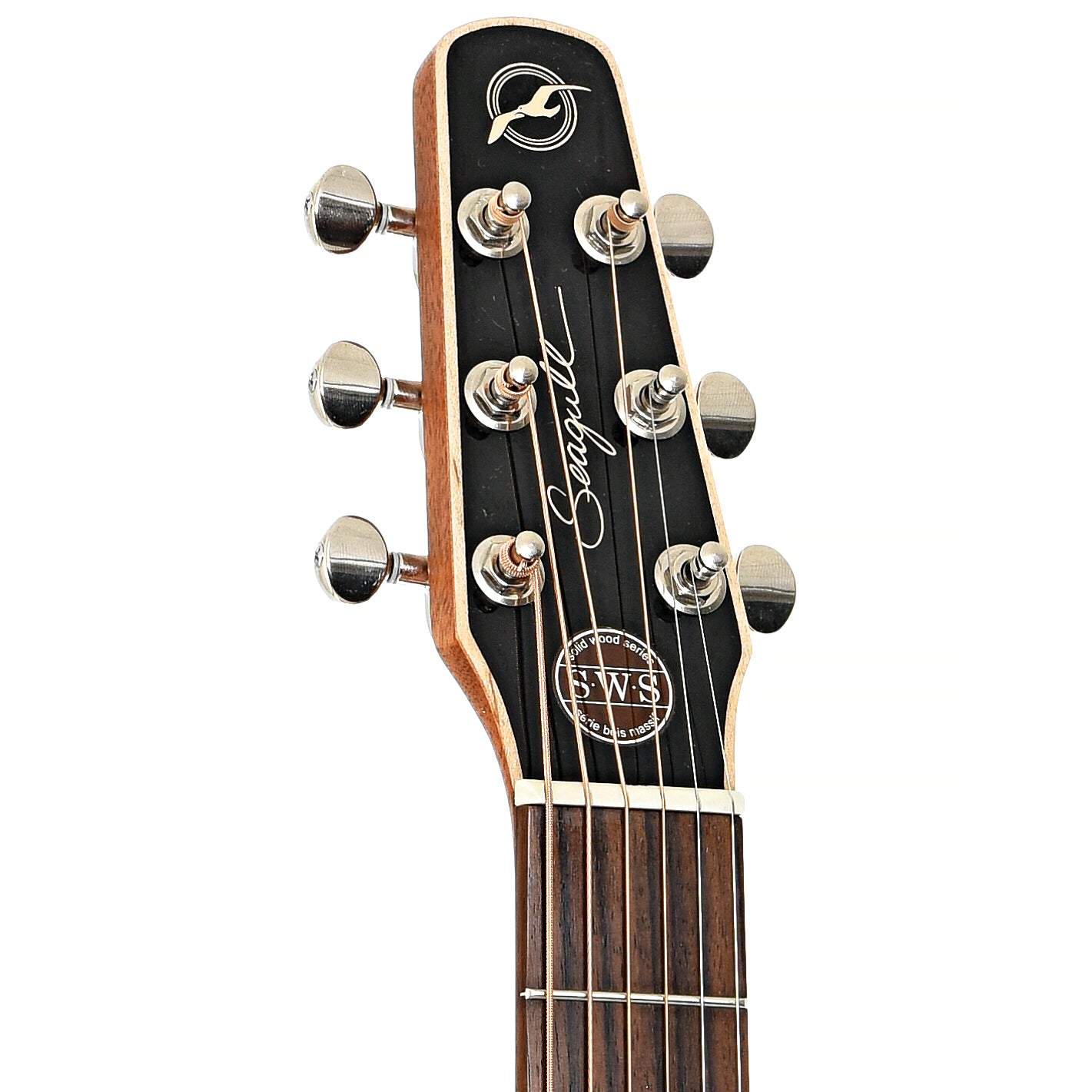 Front headstock of Seagull Maritime SWS HG Acoustic Guitar (c.2016)