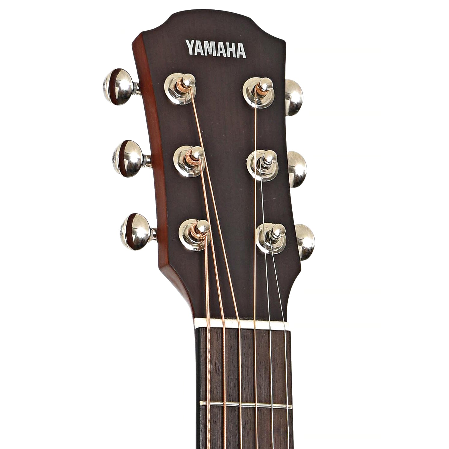 front headstock of Yamaha CSF3M Parlor Size Acoustic Guitar (c.2021)