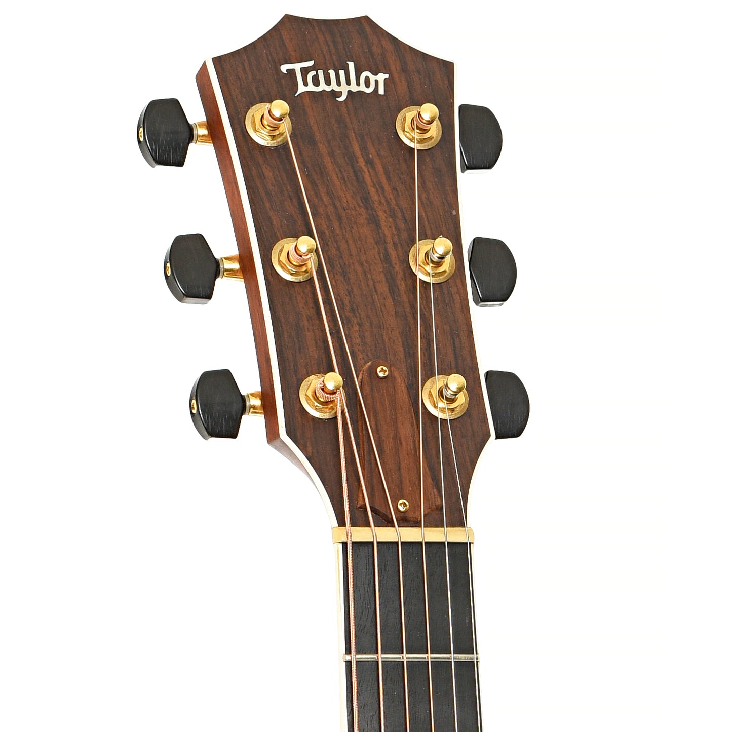 Front headstock of Taylor 810-CE Acoustic-Electric Guitar (2004)