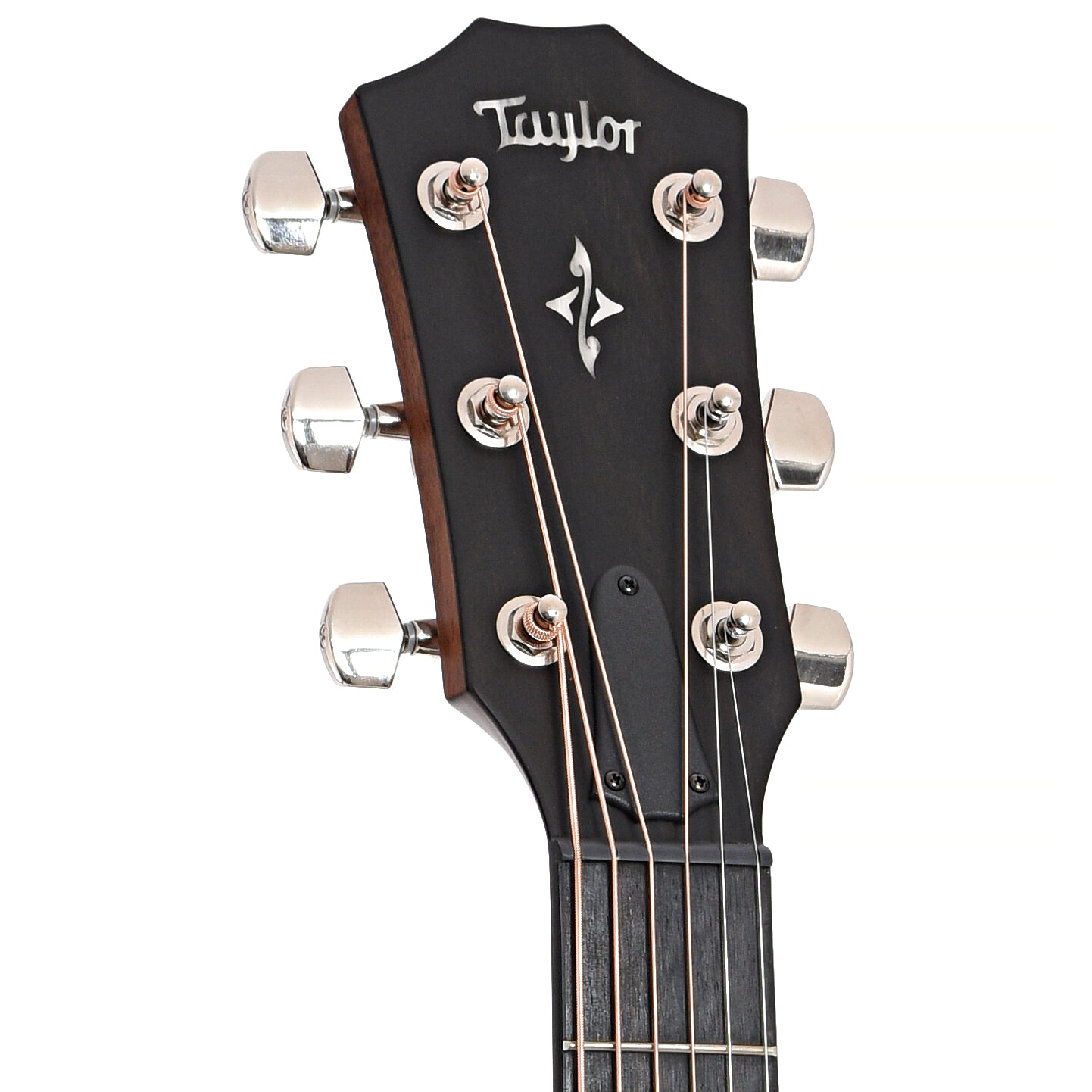 Front headstock of Taylor 417e Acoustic