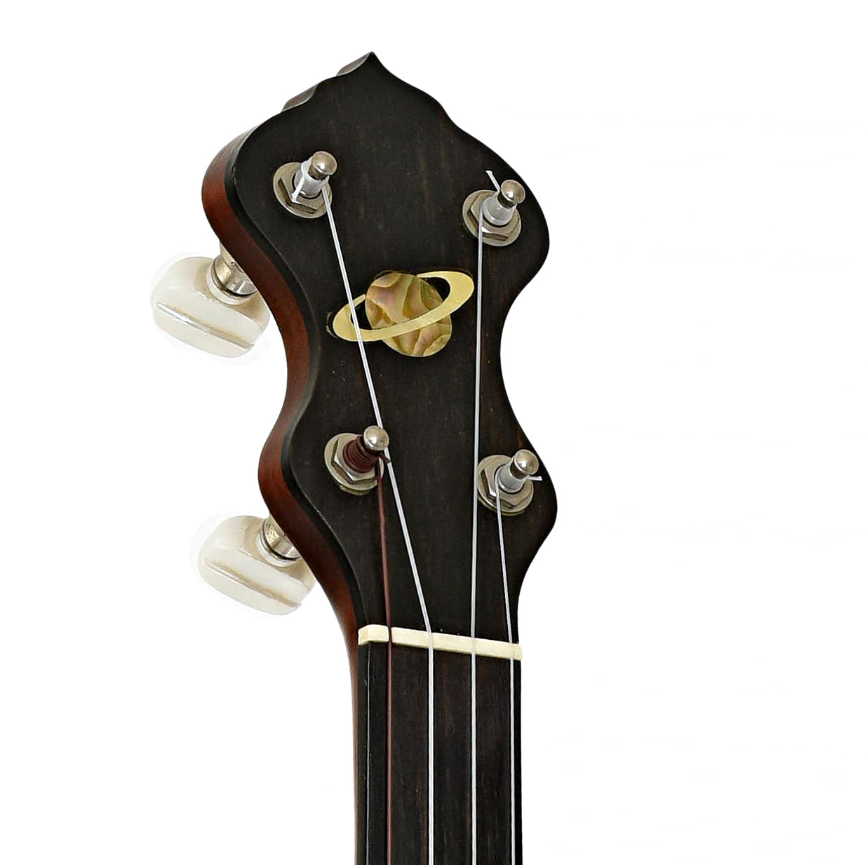 Headstock of Chanterelle Mike Ramsey Fretless Standard 12" Openback Banjo (c.1999)