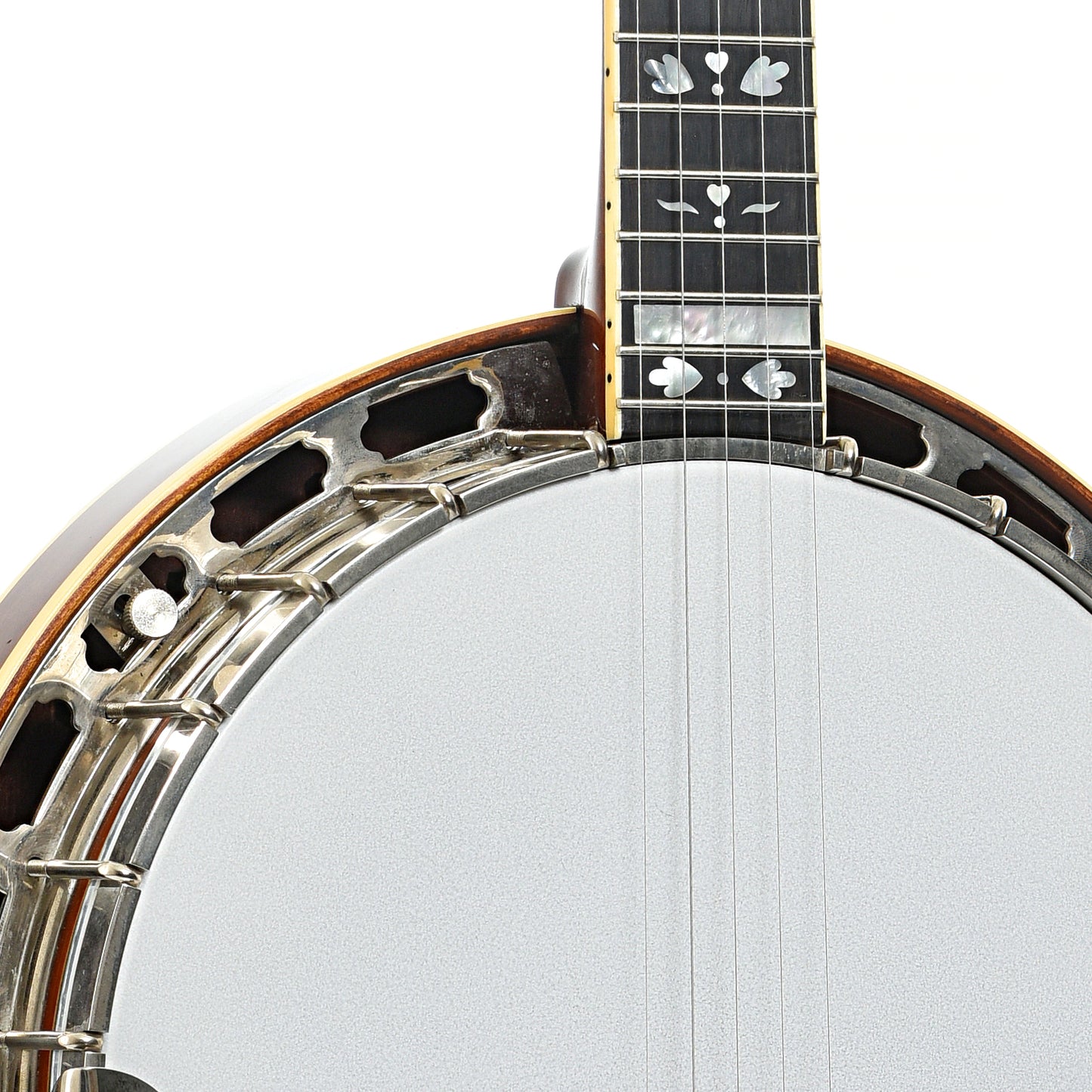 Front neck joint of Gold Star GF100HF Banjo