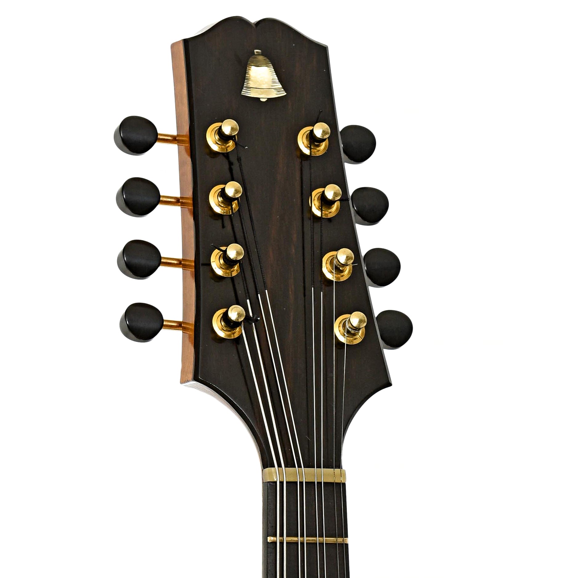 Headstock of Campanella Dué Two-Point Mandolin